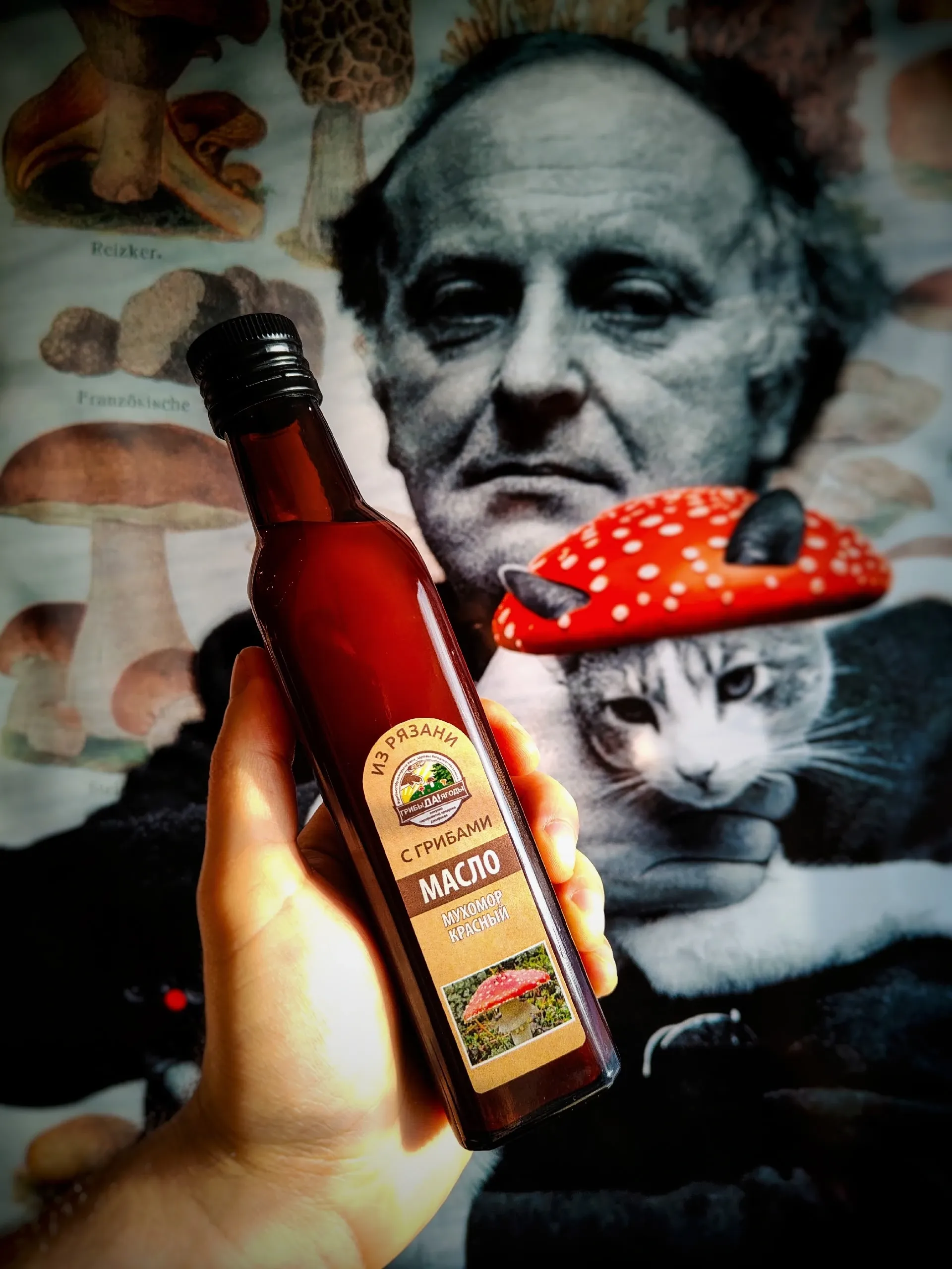 Масло из мухомора / Фото арт-пространства «Споры»
