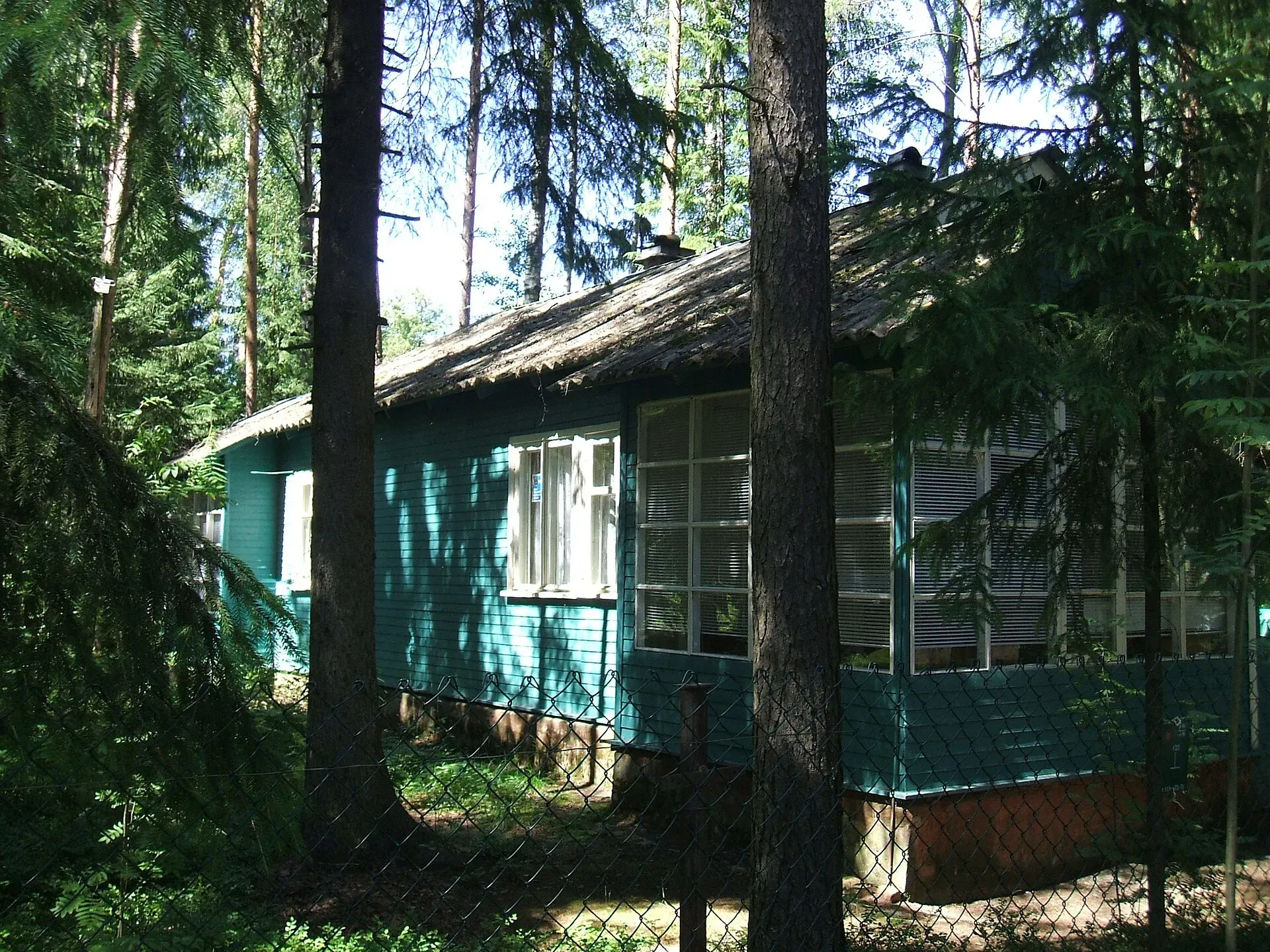 Комаровские дачи / фото Пётр Иванов / wikimedia