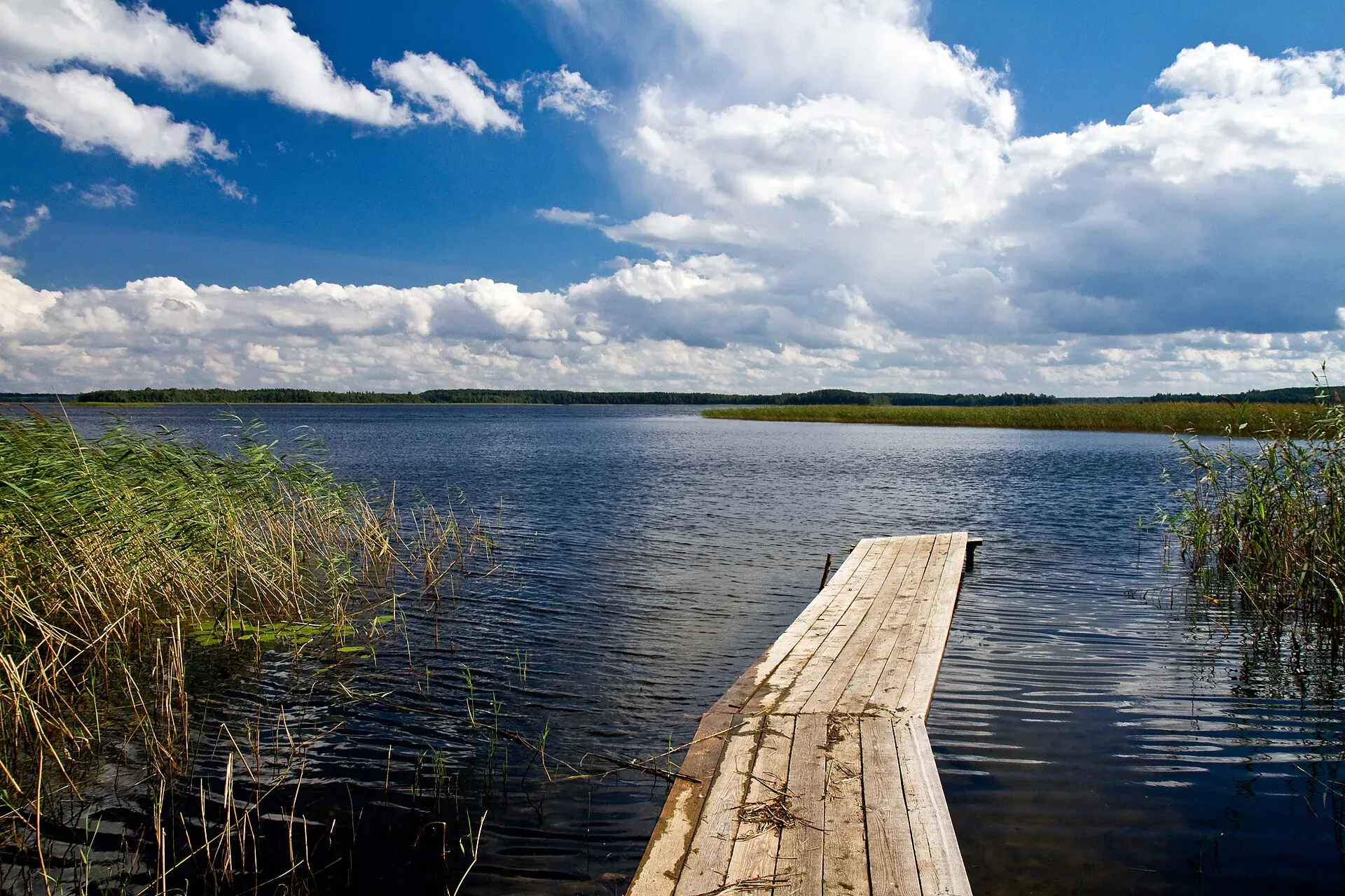 Стусто / фото zedlik / wikimedia
