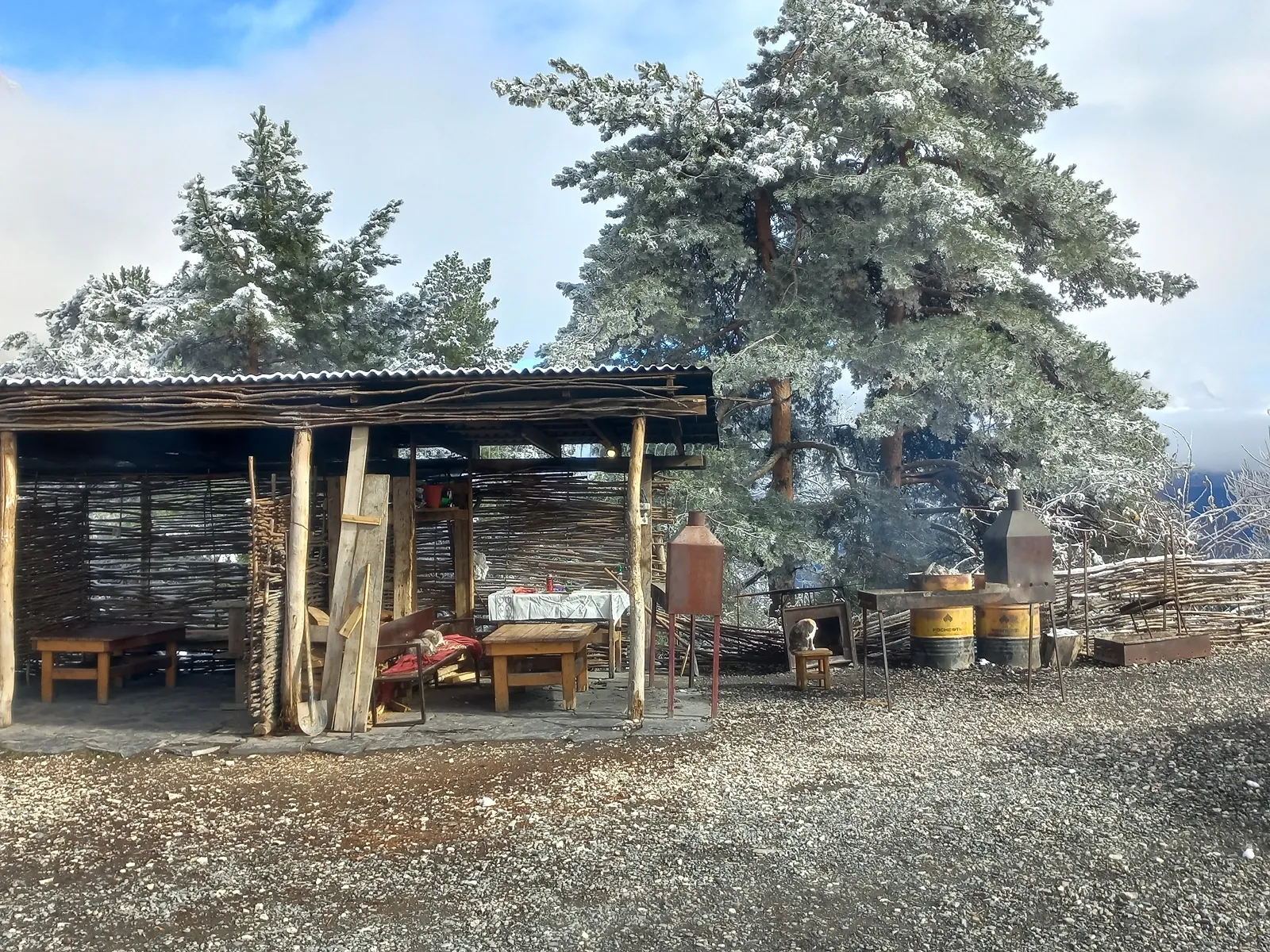 Территория вокруг кафе / фото Дарины Устич