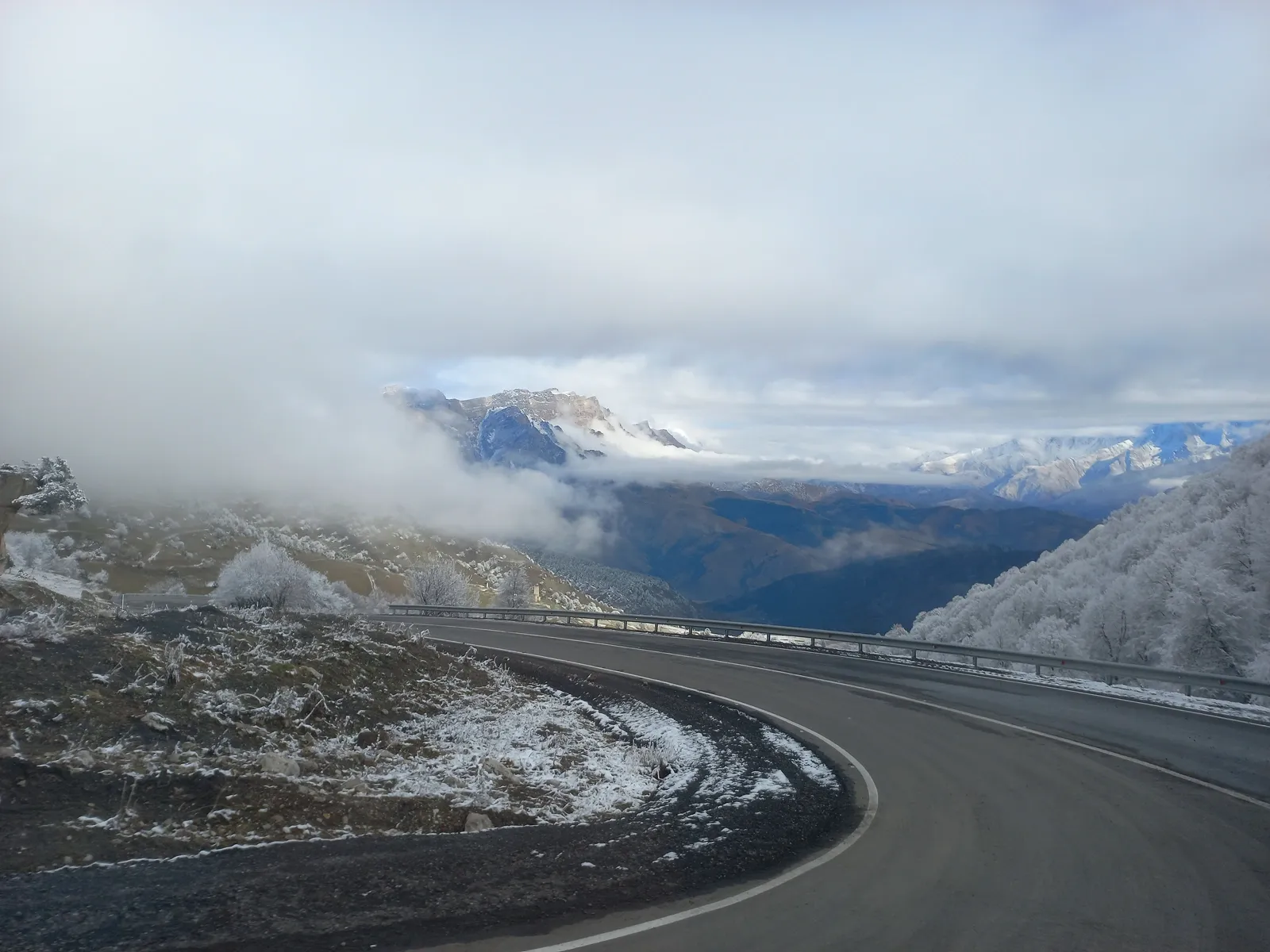 Дикая природа / фото Дарины Устич