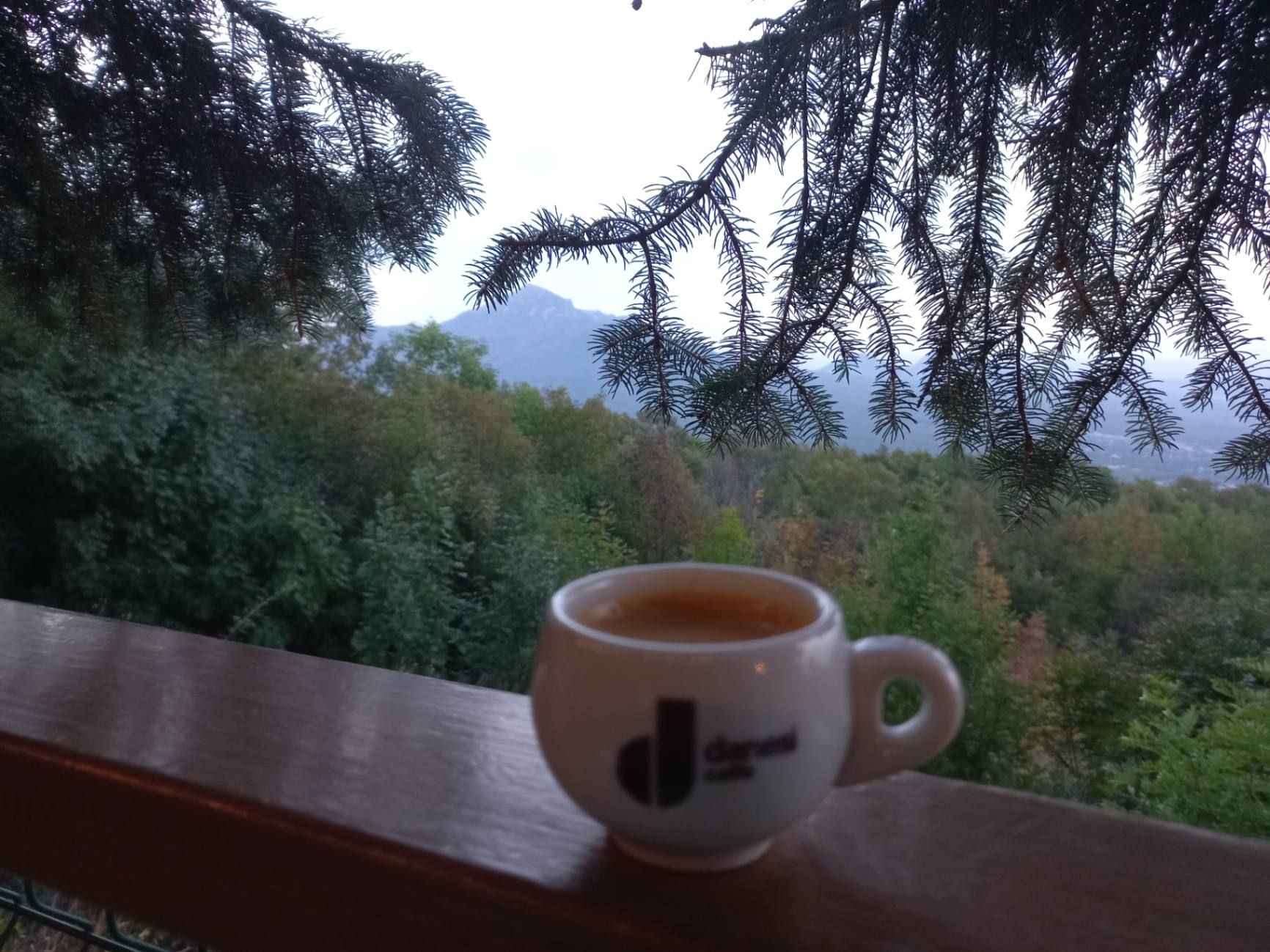 Ужин действительно проходит под кронами елей. Фото Дарины Устич