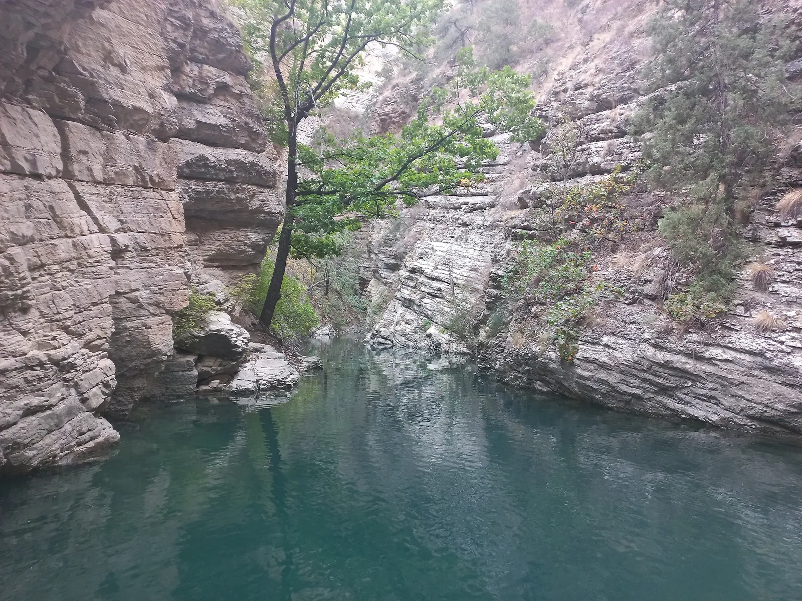 Участки всё более узкие, а вода прозрачная. Фото Дарины Устич