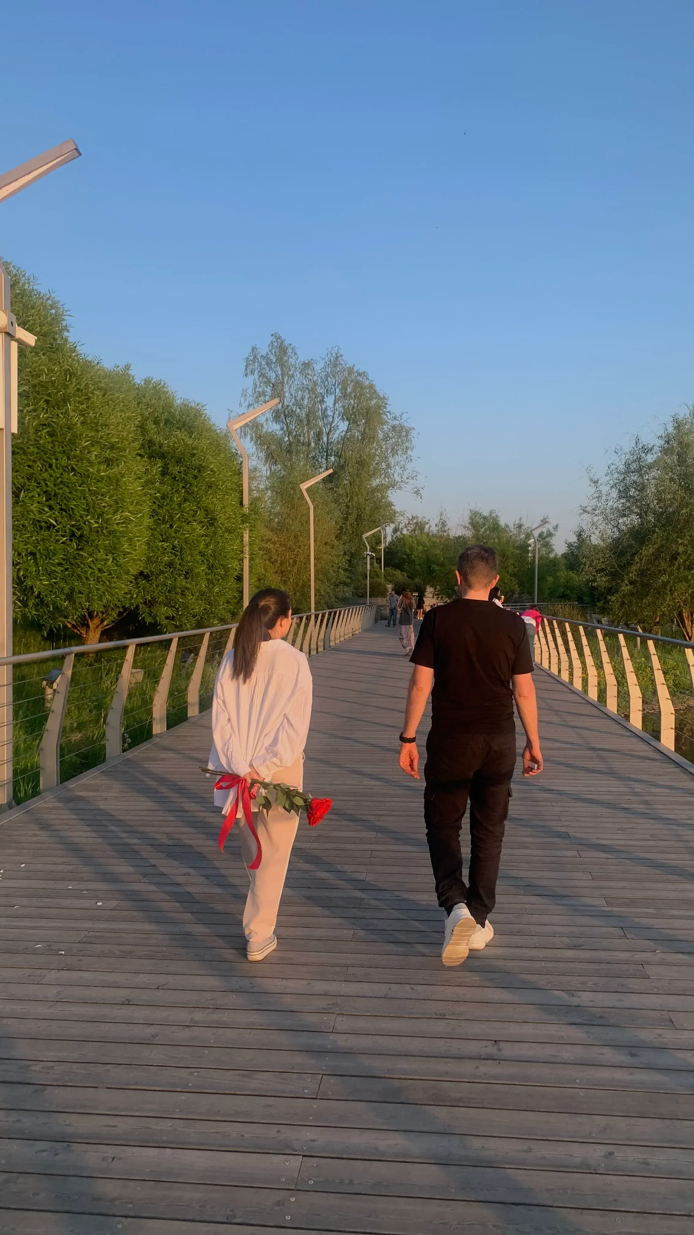 Здесь же хорошо прогуляться...