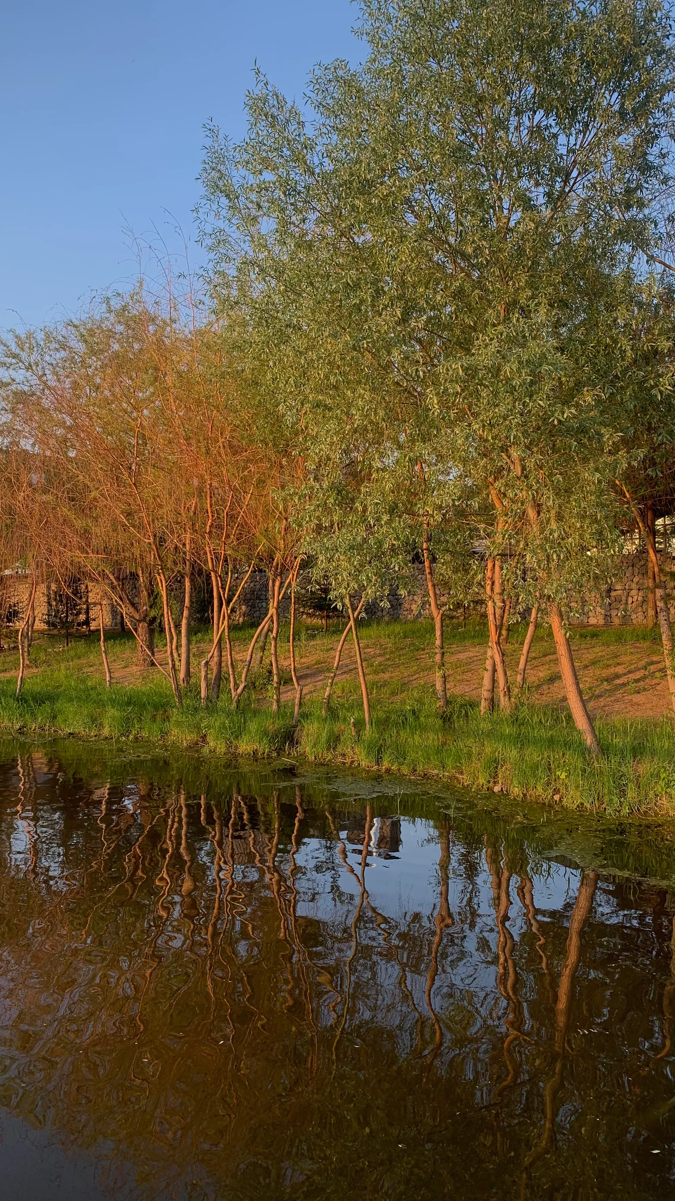 Озеро Кабан — место для единения с природой.