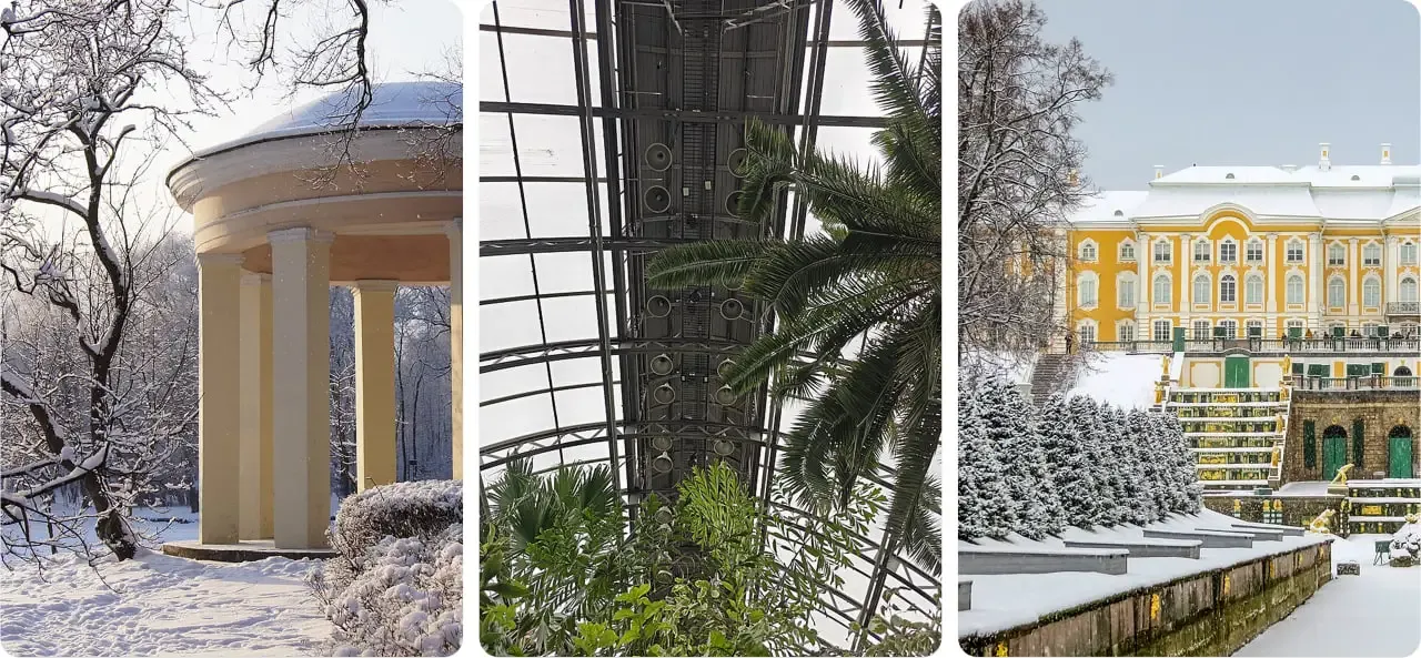 Екатерингоф , оранжерея Таврического сада