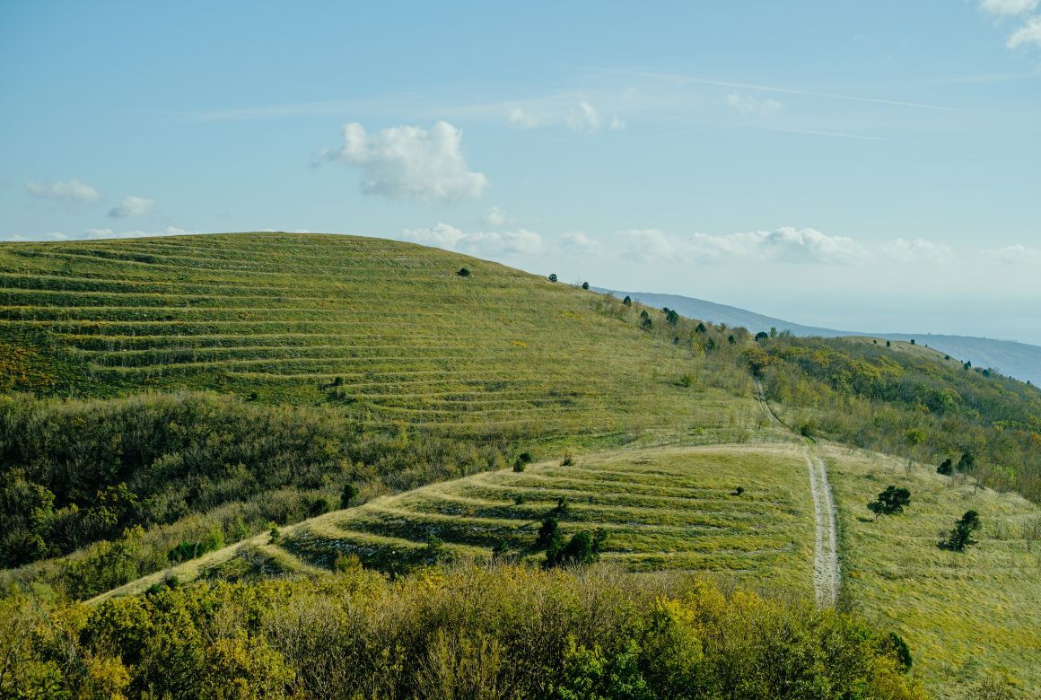 Маркотхский хребет рядом с Геленджиком (Remains / Canva)