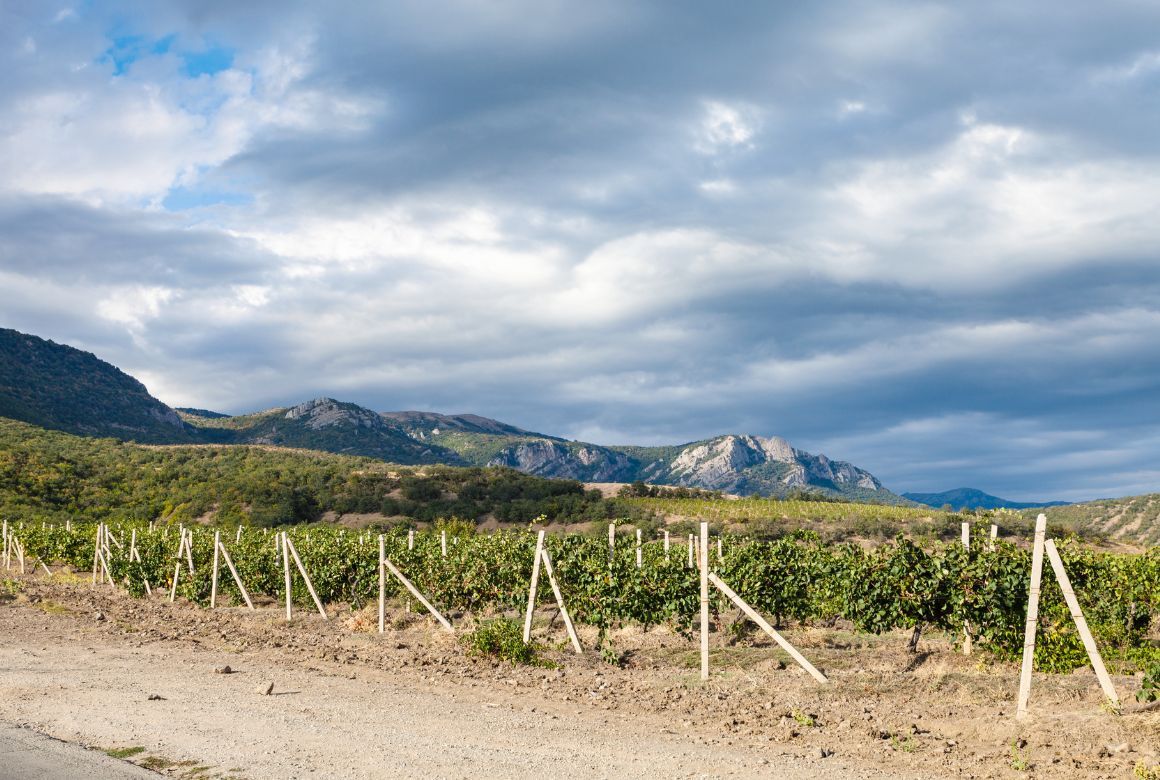 Горные пейзажи и виноградники Алушты (vvoevale / Canva)