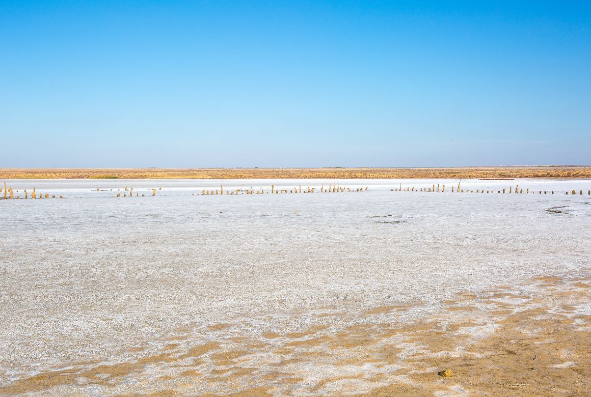 Солёные пейзажи озера Эльтон (Hanna Summer / Canva)