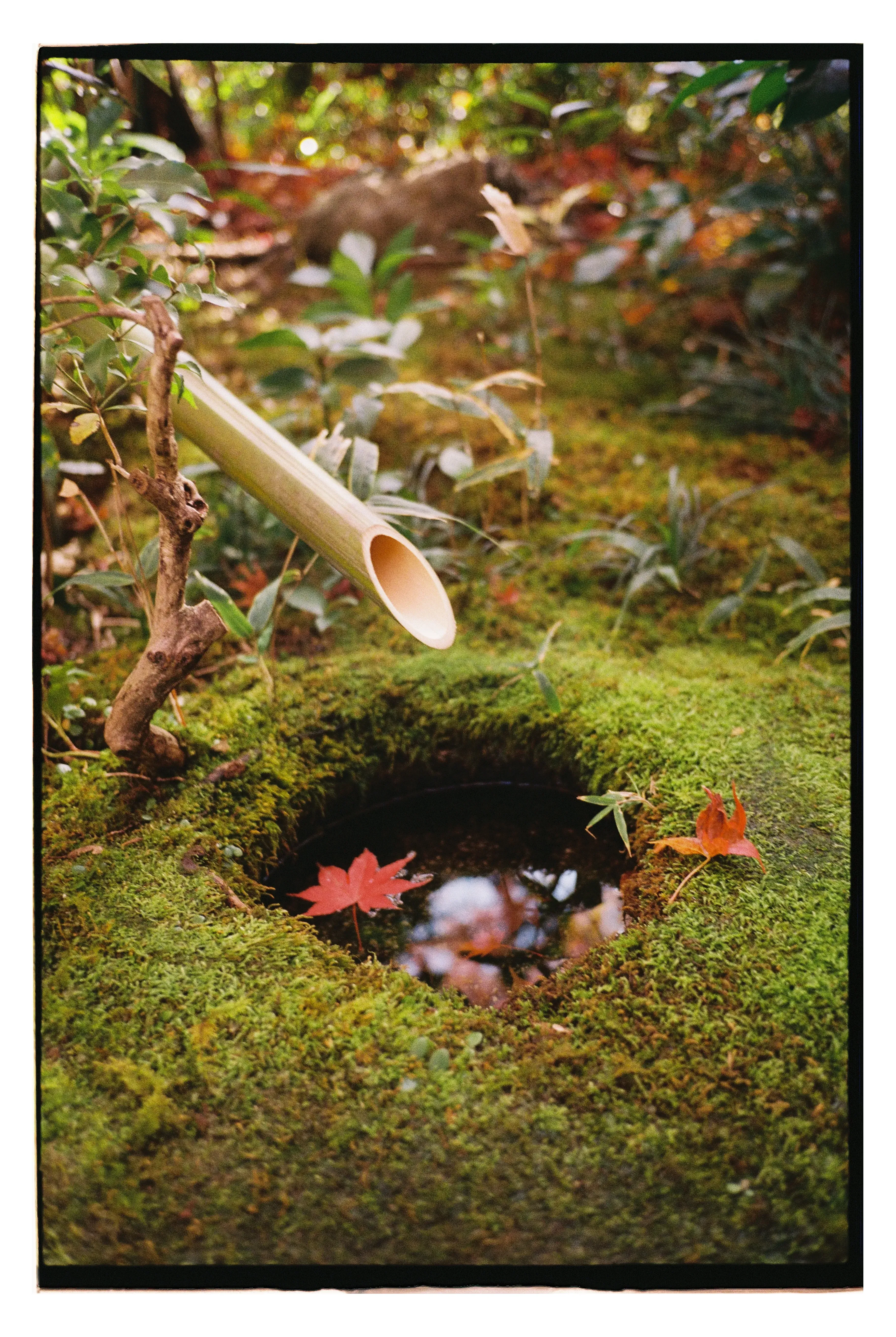 Фото: Оля Смирнова