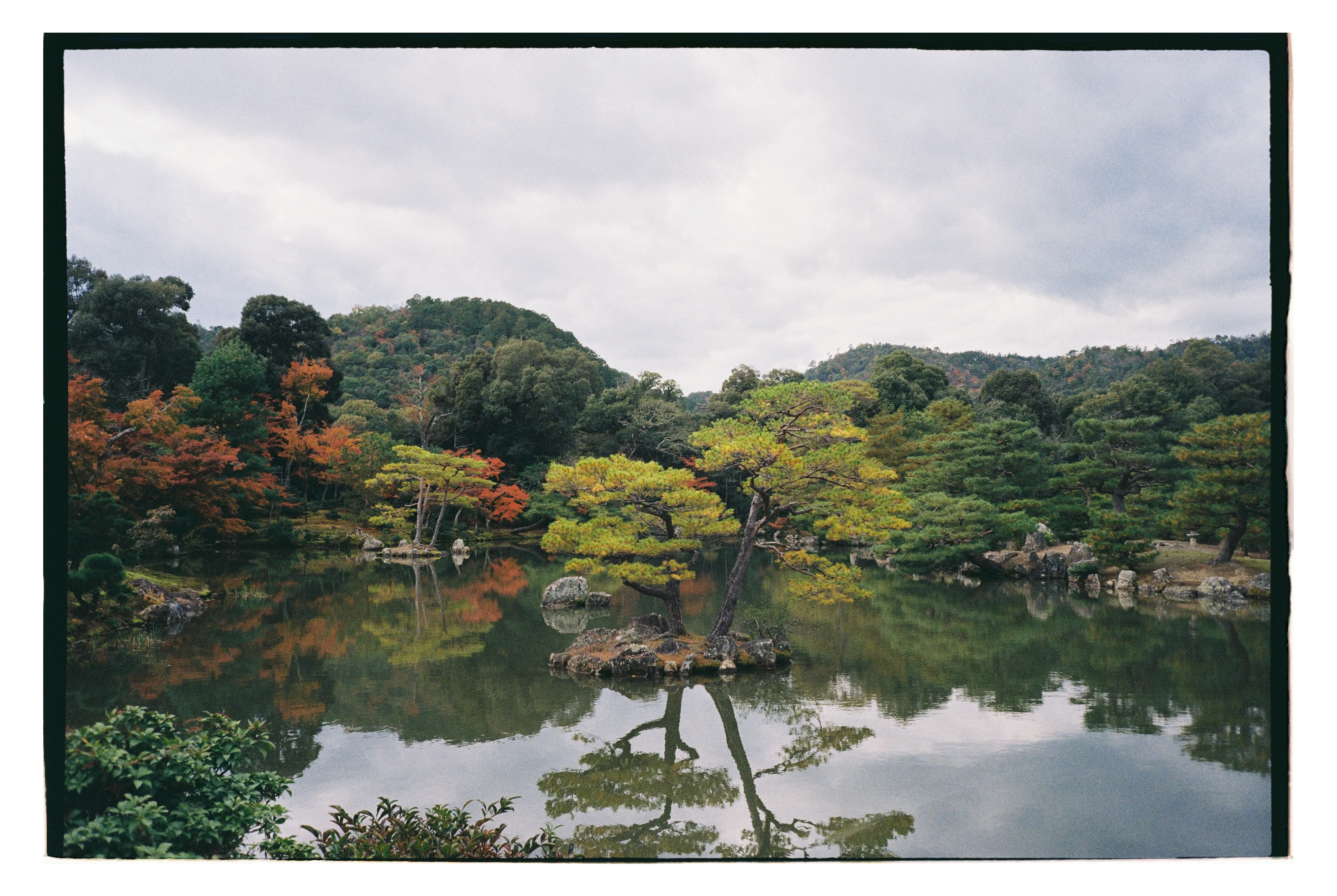 Киото, Храм Кинкаку-дзи. Фото: Оля Смирнова