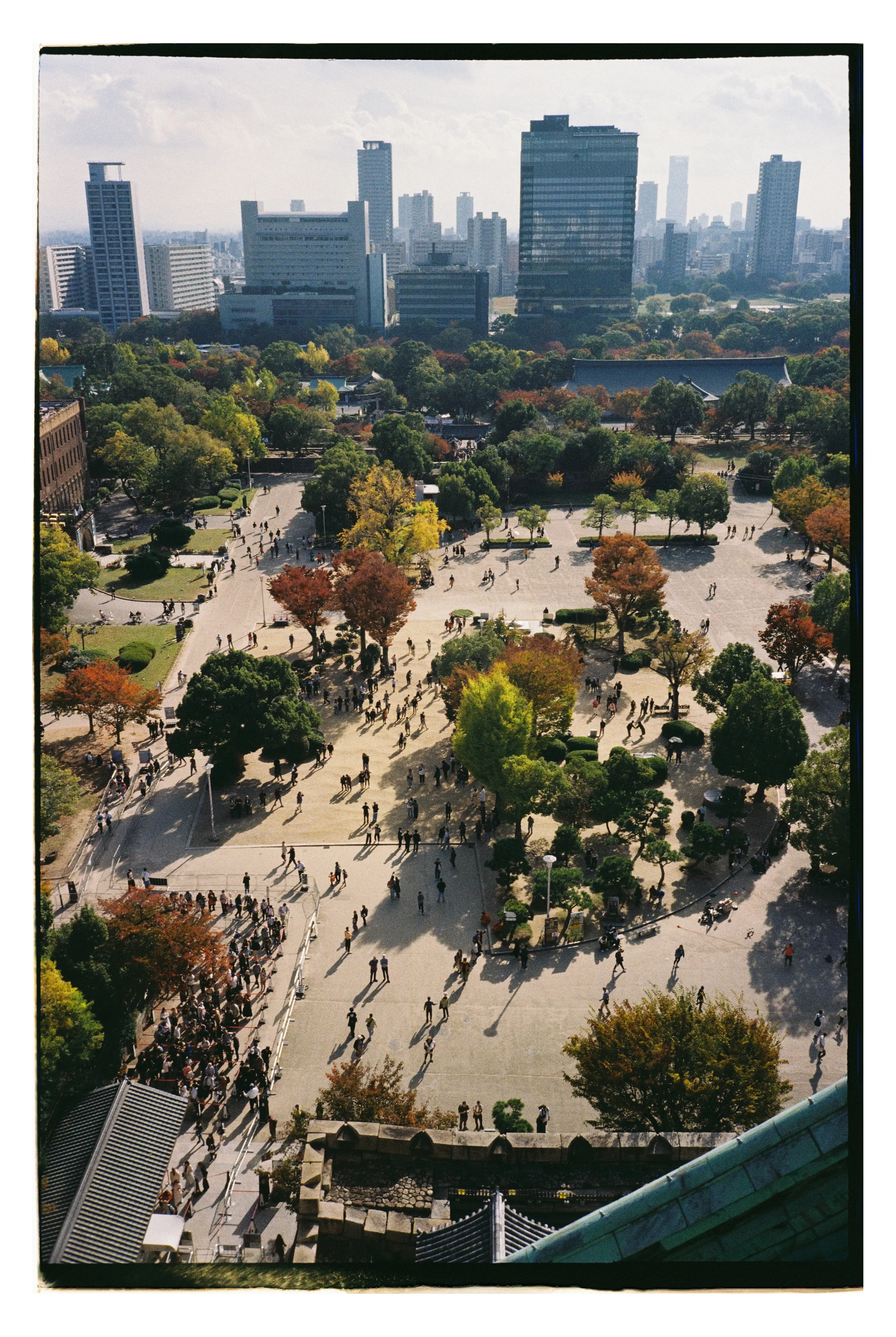 Вид с верхнего этажа замка. Фото: Оля Смирнова