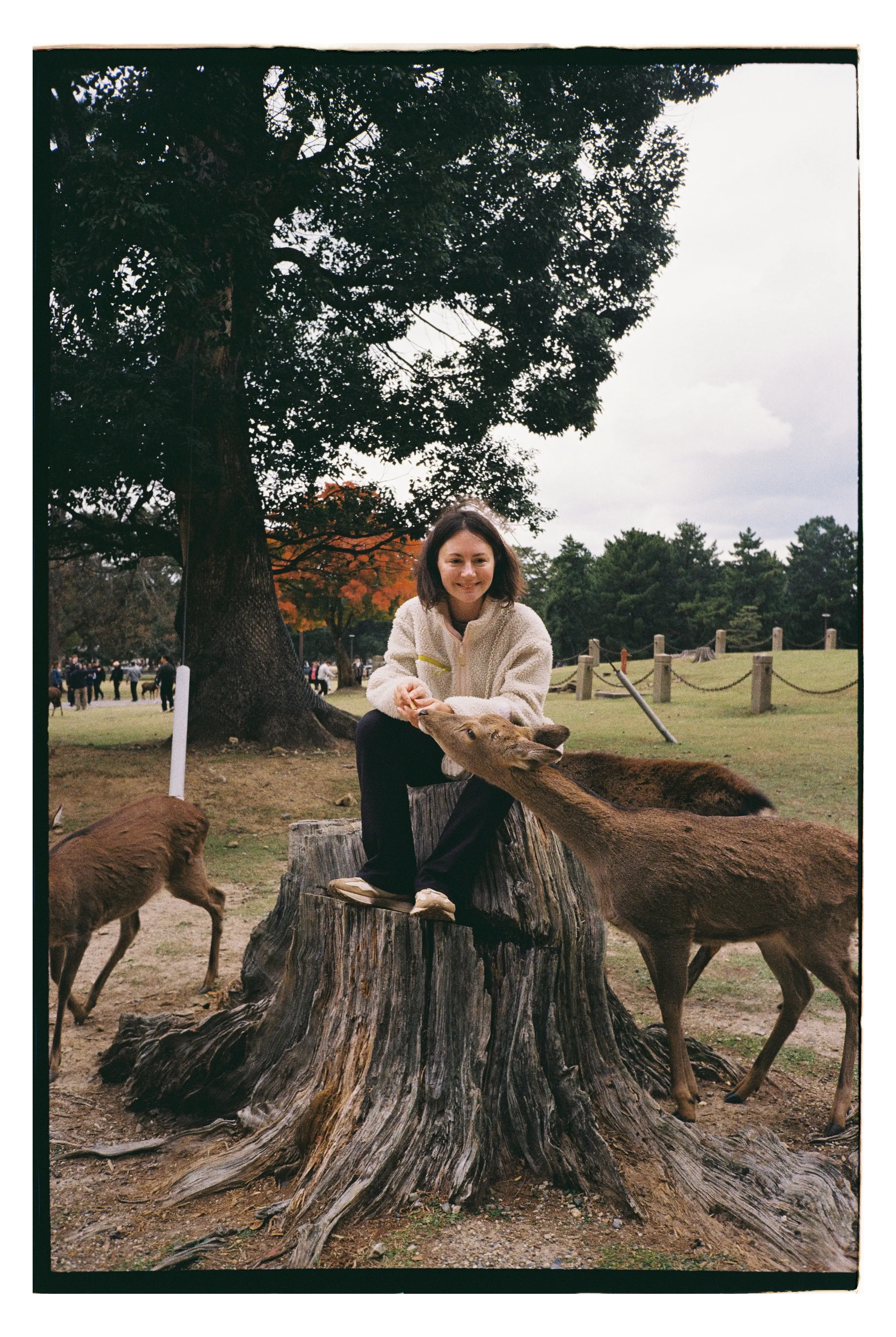 Даже за печенье.