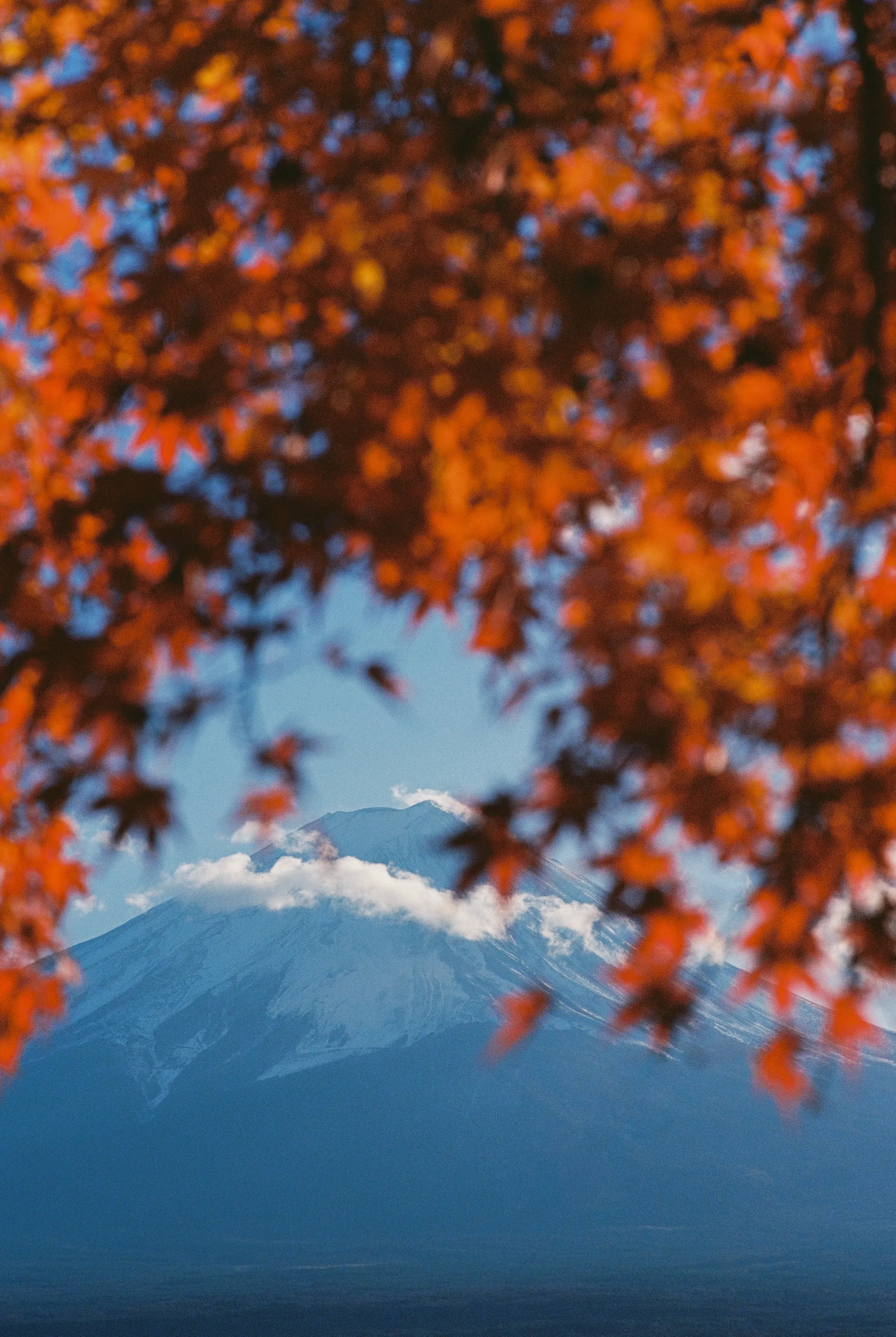 Фудзияма, на которую можно смотреть без конца. Фото: Оля Смирнова&nbsp;