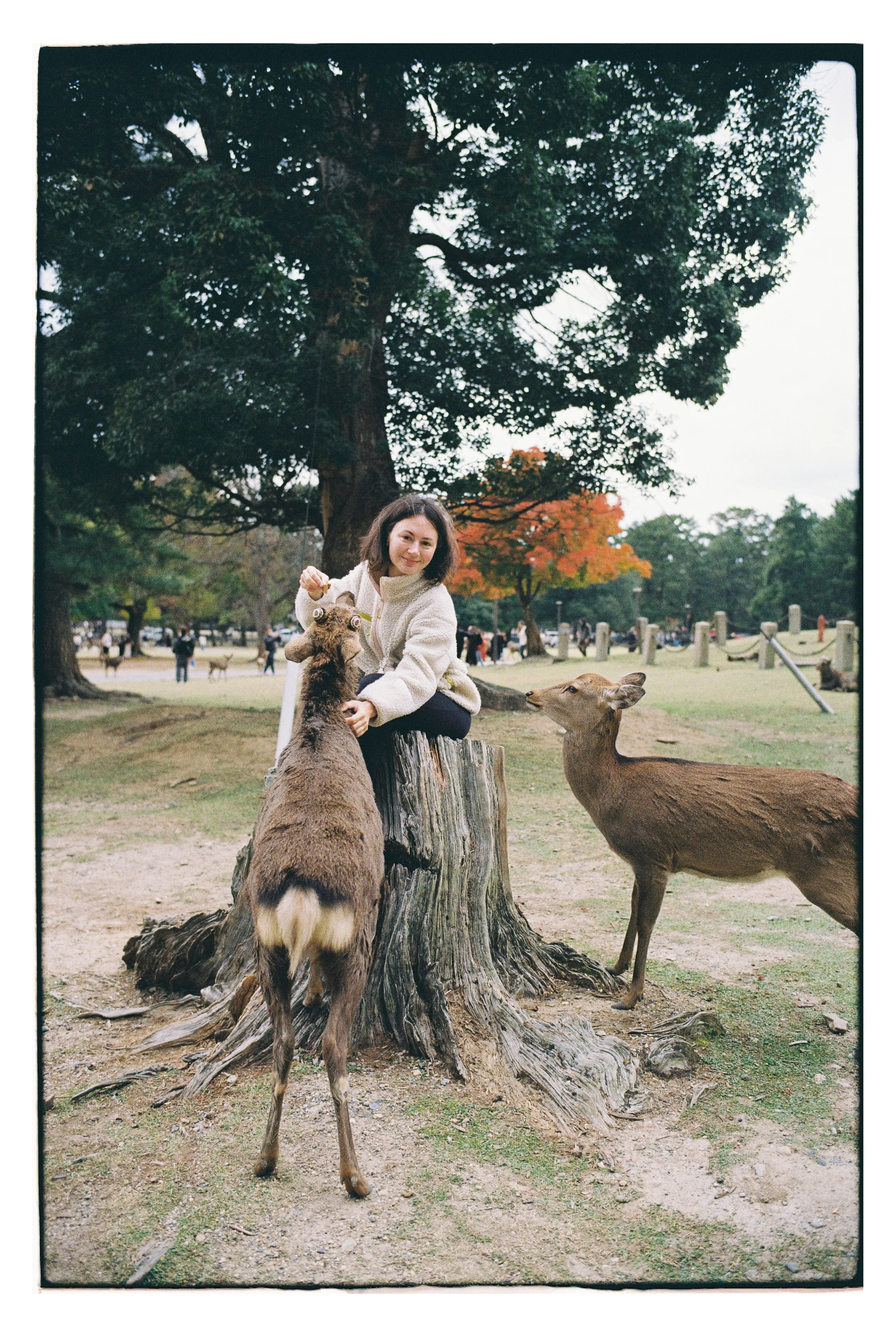 Приятно быть в центре внимания!