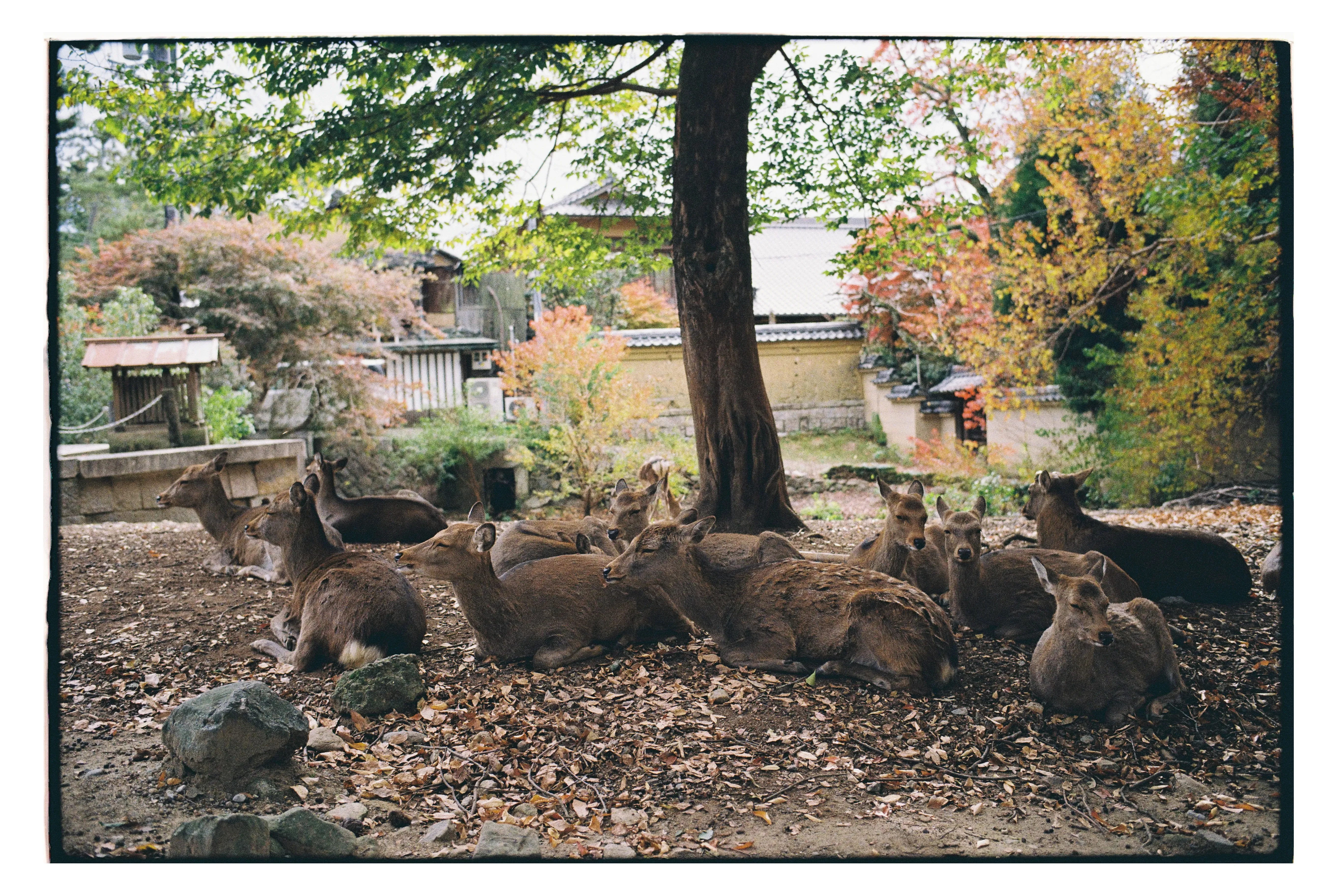 Как отказать этим милашкам? Фото: Оля Смирнова