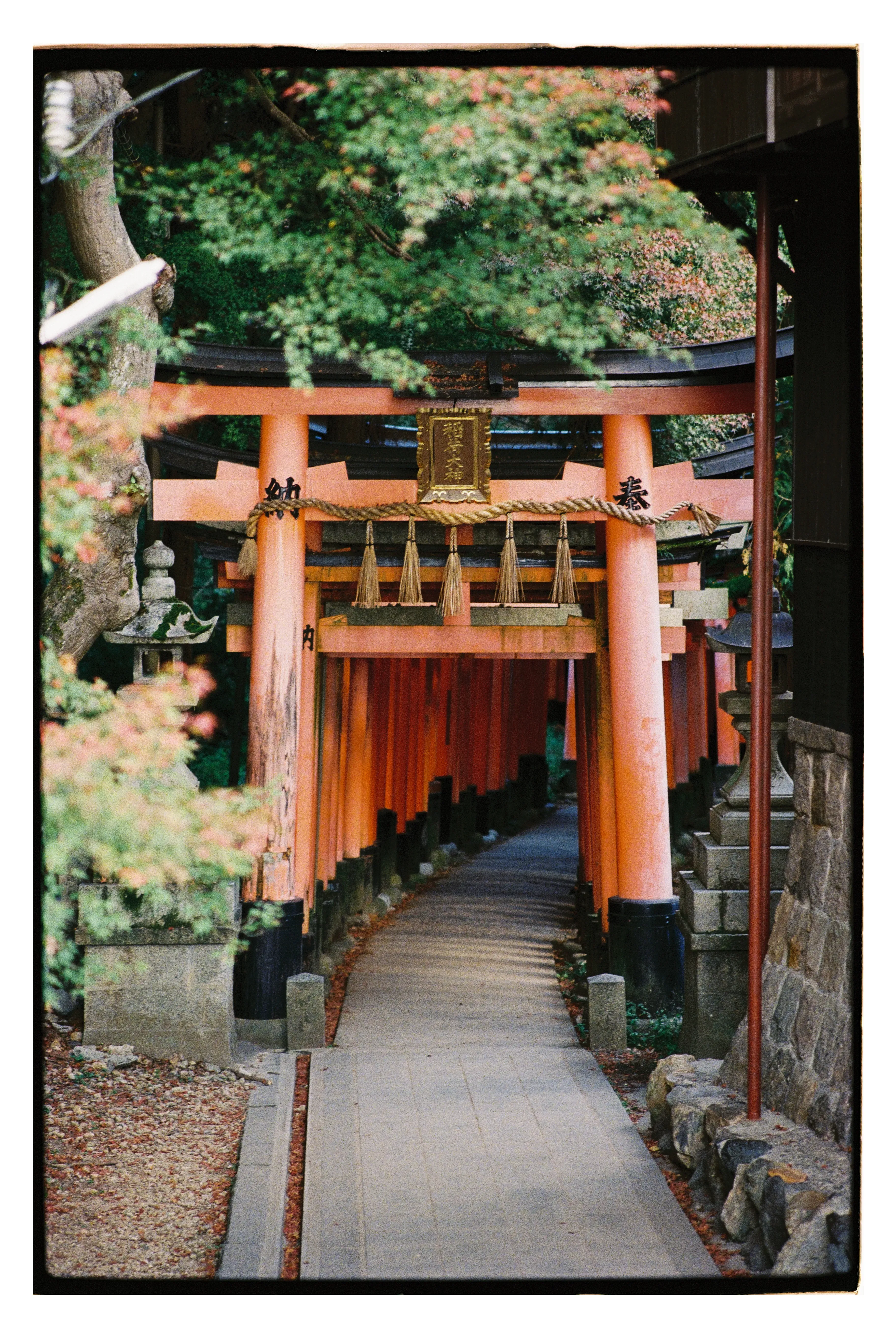 Фото: Оля Смирнова