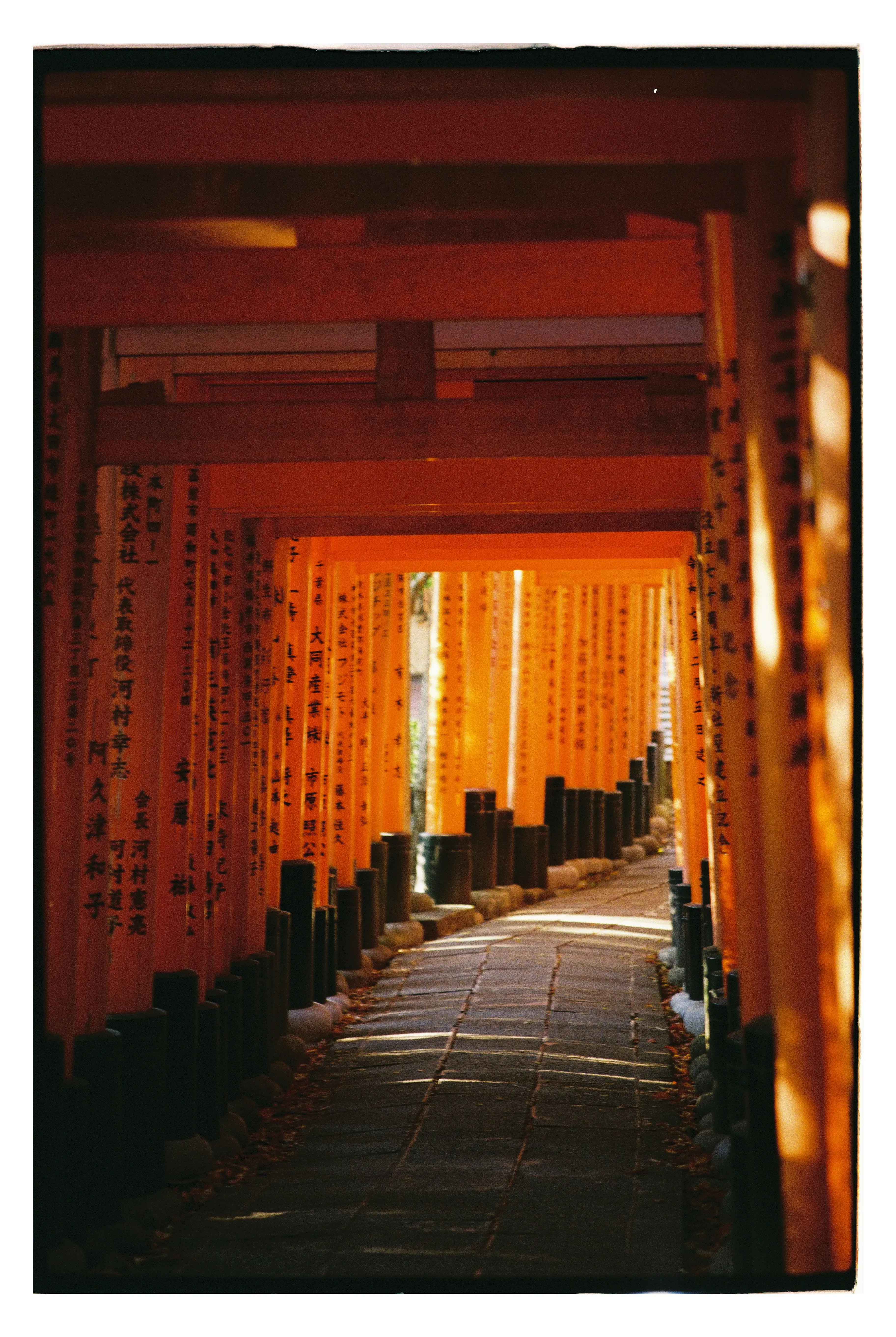 Те самые тории, ворота в форме буквы П.