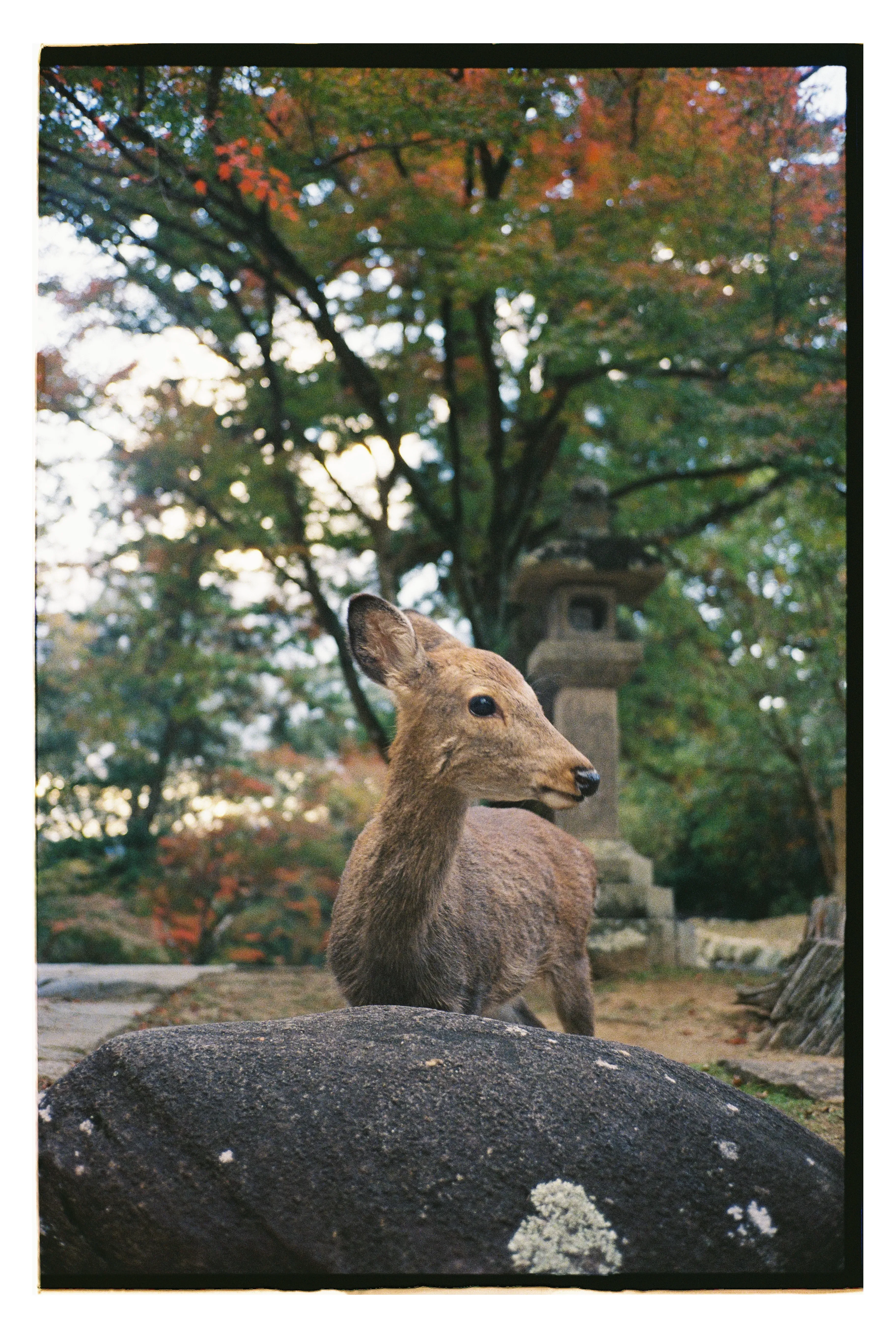 Фото: Оля Смирнова
