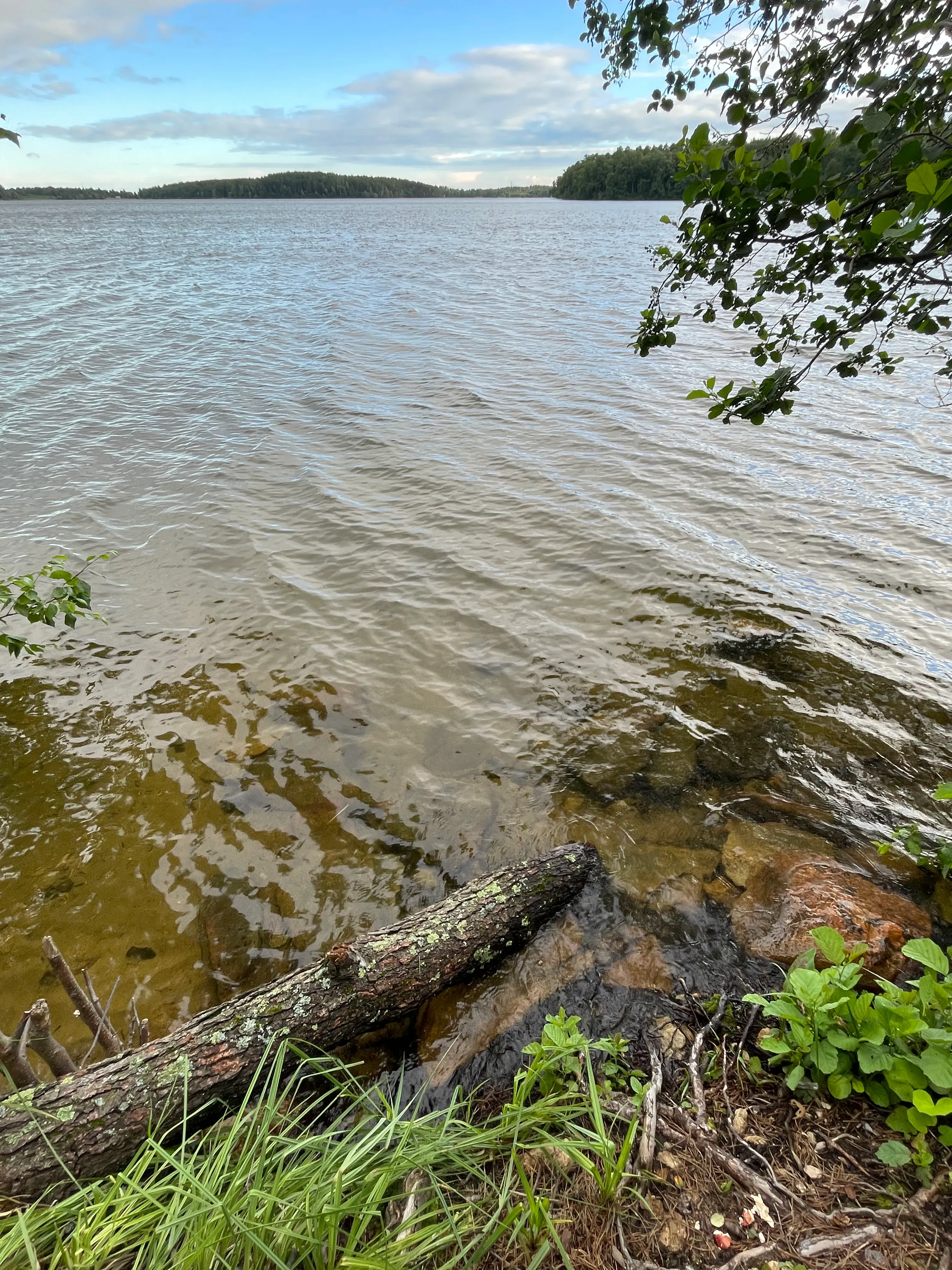 Водичка