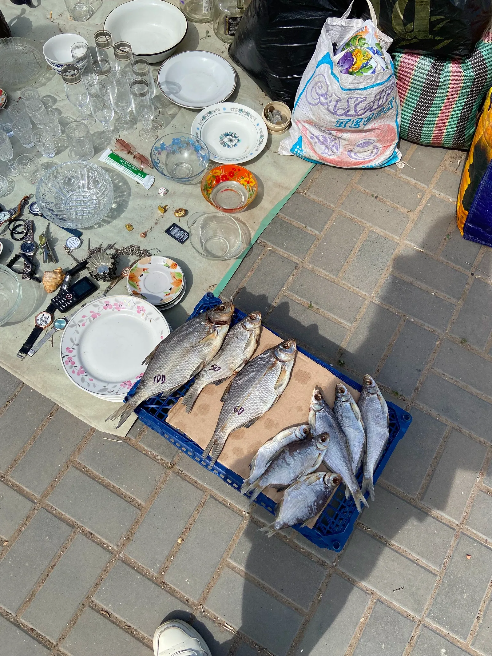 Вобла! / фото Анастасии Пелевиной