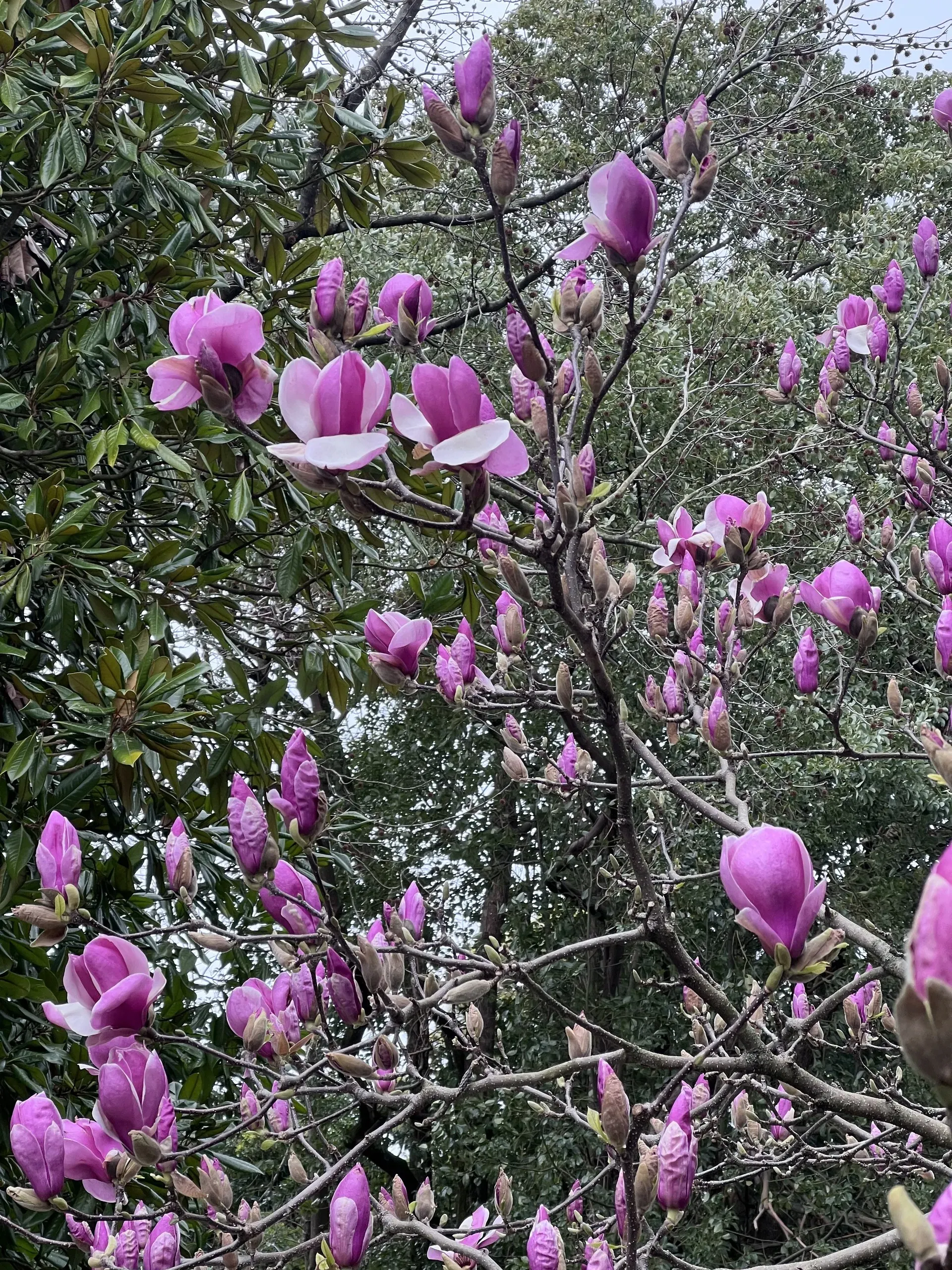 Фото: Анна Белостоцкая