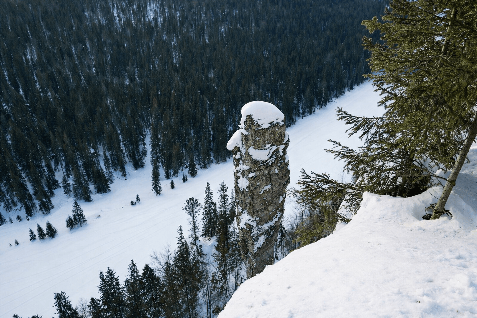 ChatGPT Image 23 дек. 2025 г., 01_38_15.png