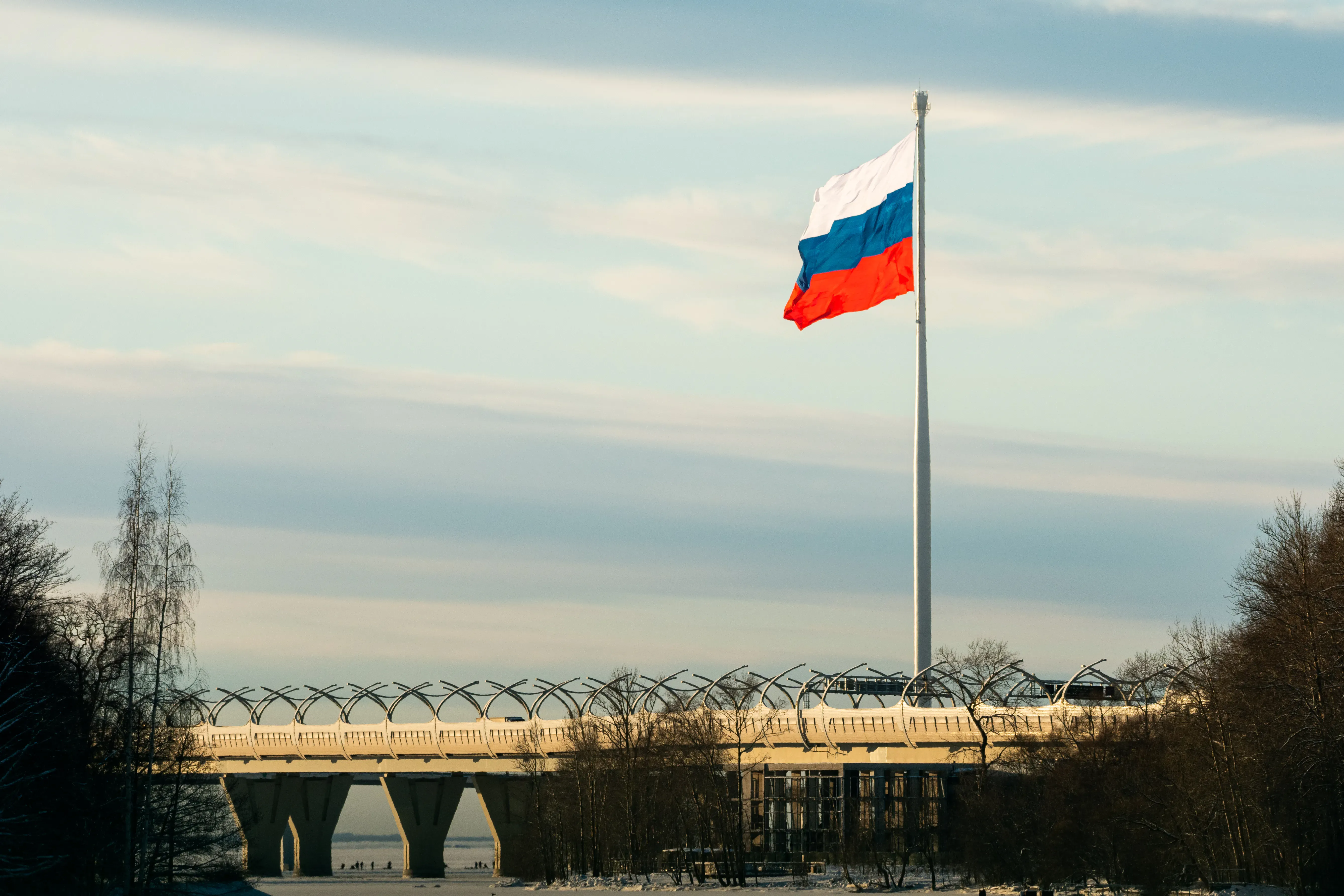 Праздничный триколор / Горбунова М.С. / Wikimedia