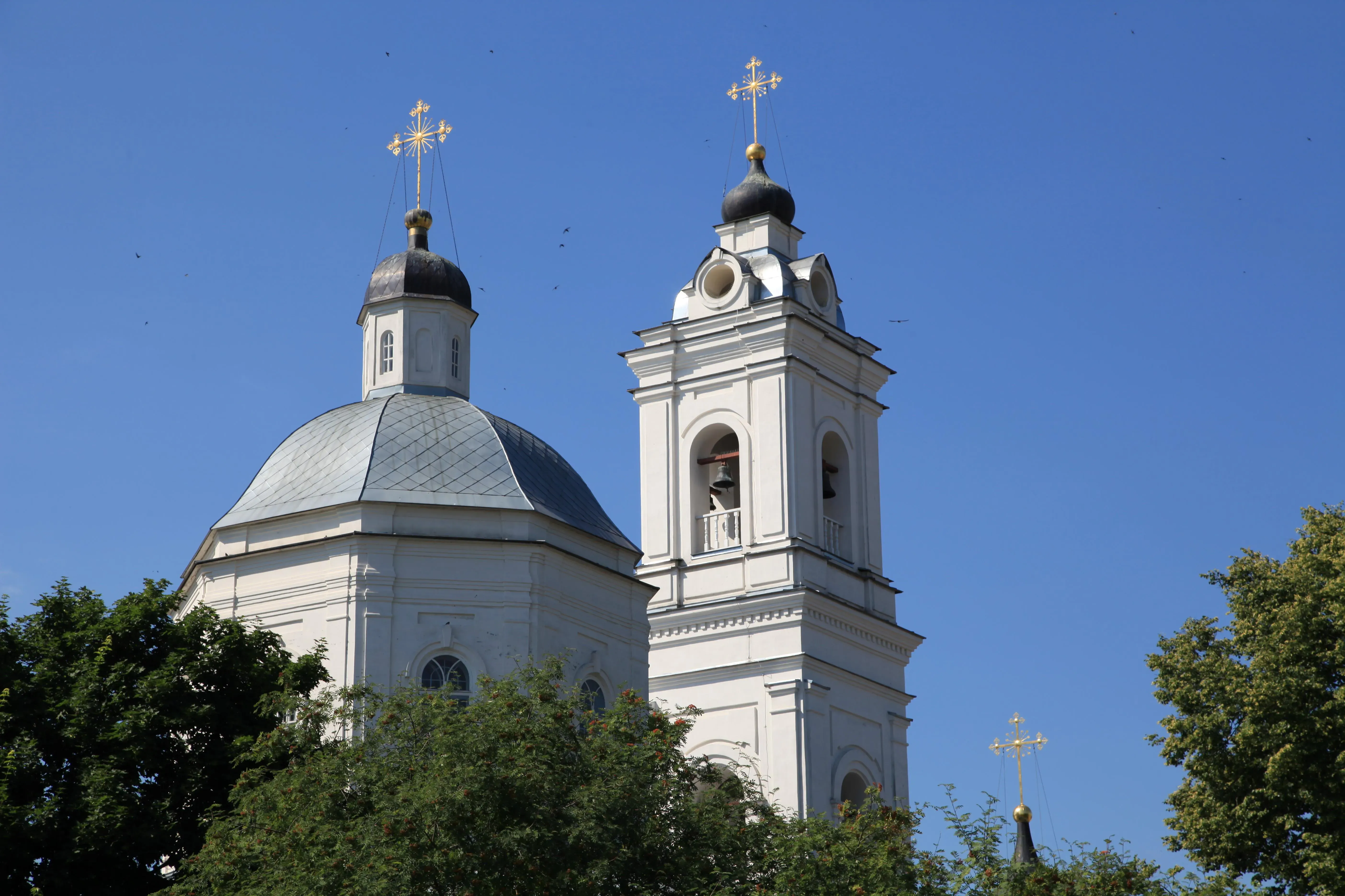 Храм Петра и Павла / Dolganovyuri / Wikimedia