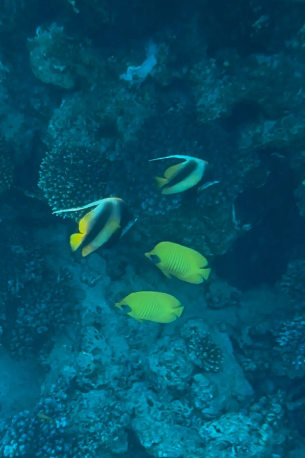 Рыыыбы! Фото: Даша Александрова