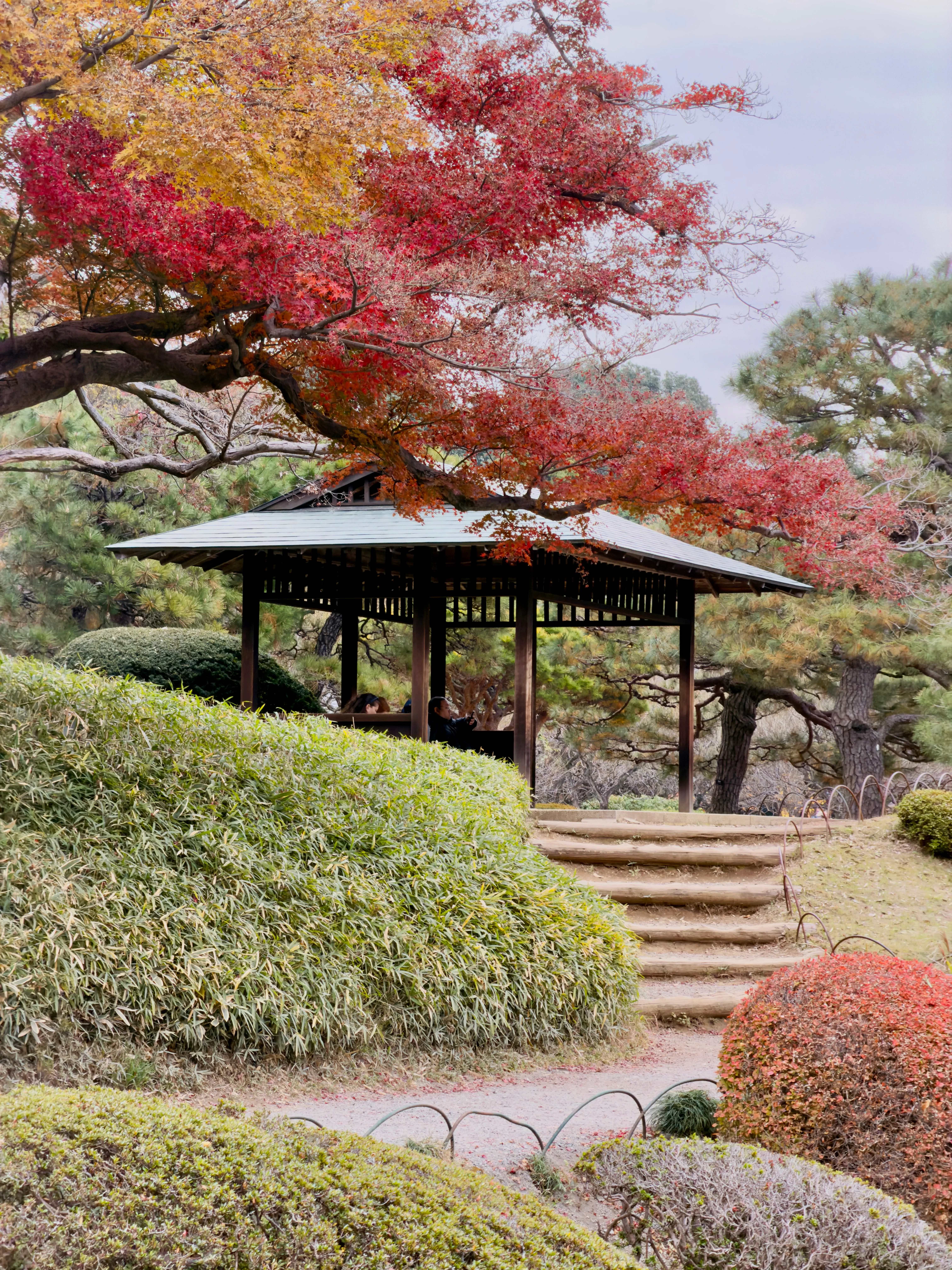 Фото: Оля Смирнова