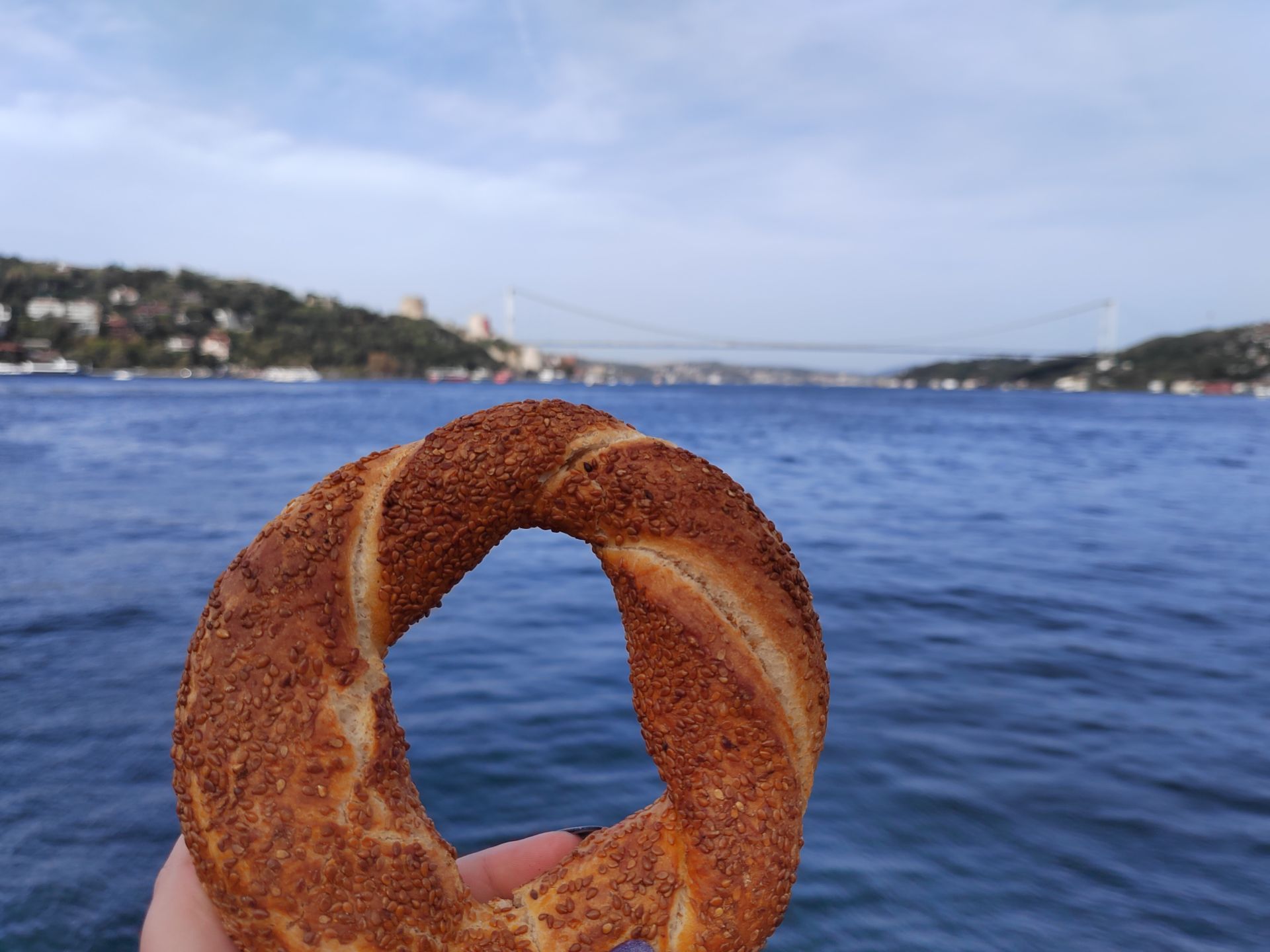 Самая любимая уличная еда Стамбула, бублик симит. Фото Дарины Устич