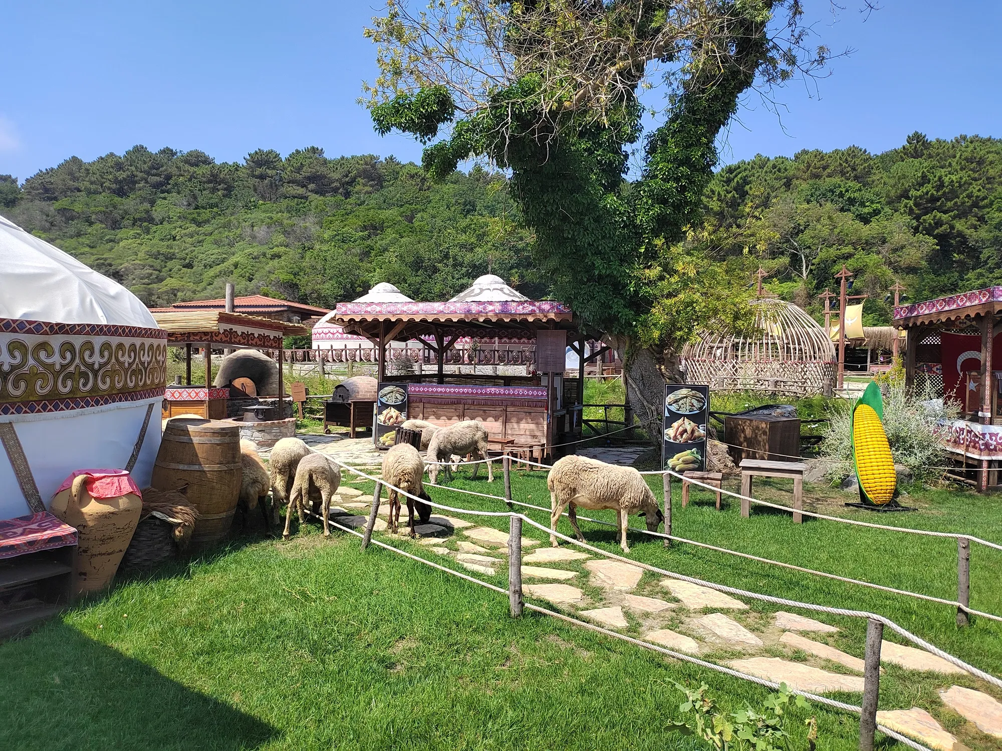 Кстати, барашки живые. Они здесь живут постоянно. Фото Дарины Устич.