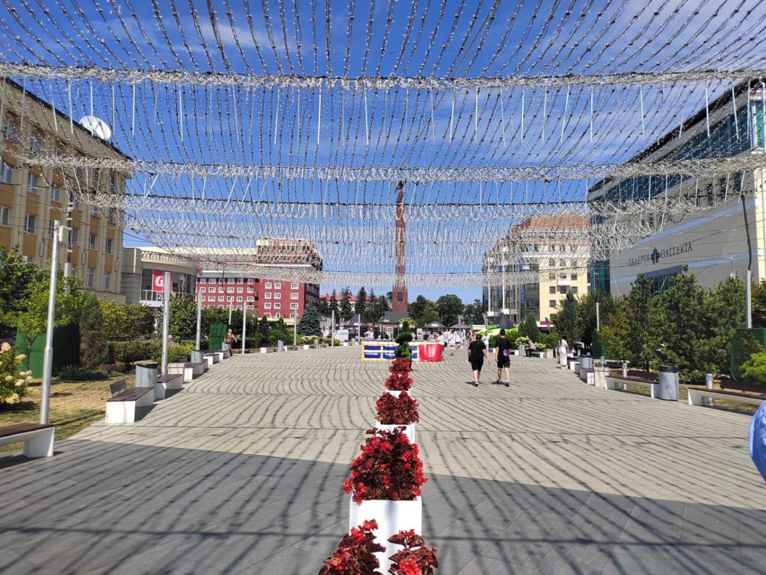 Александровская площадь, зона прогулок и колонна вдалеке. Фото Дарины Устич
