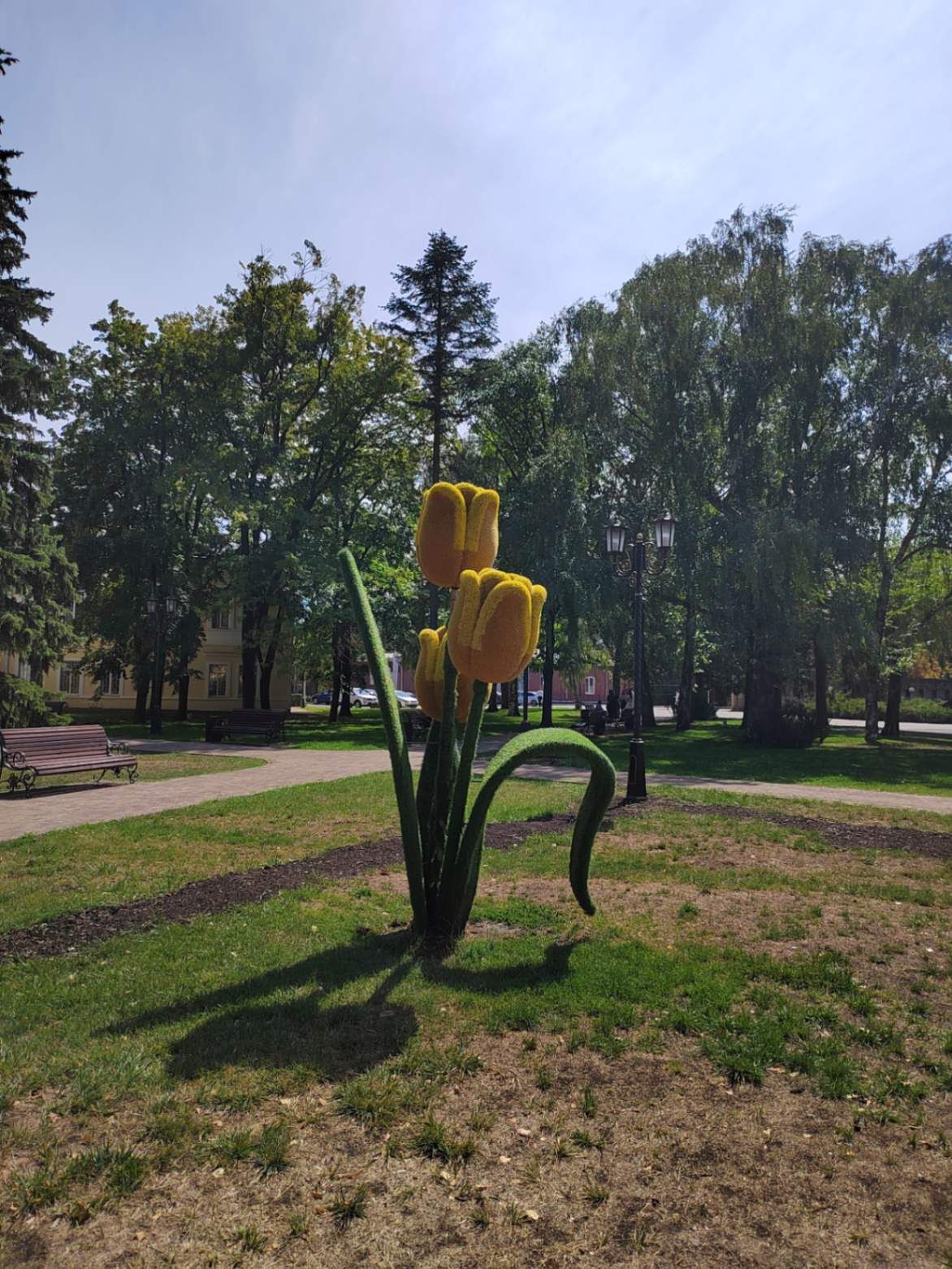 Украшение сквера. Фото Дарины Устич