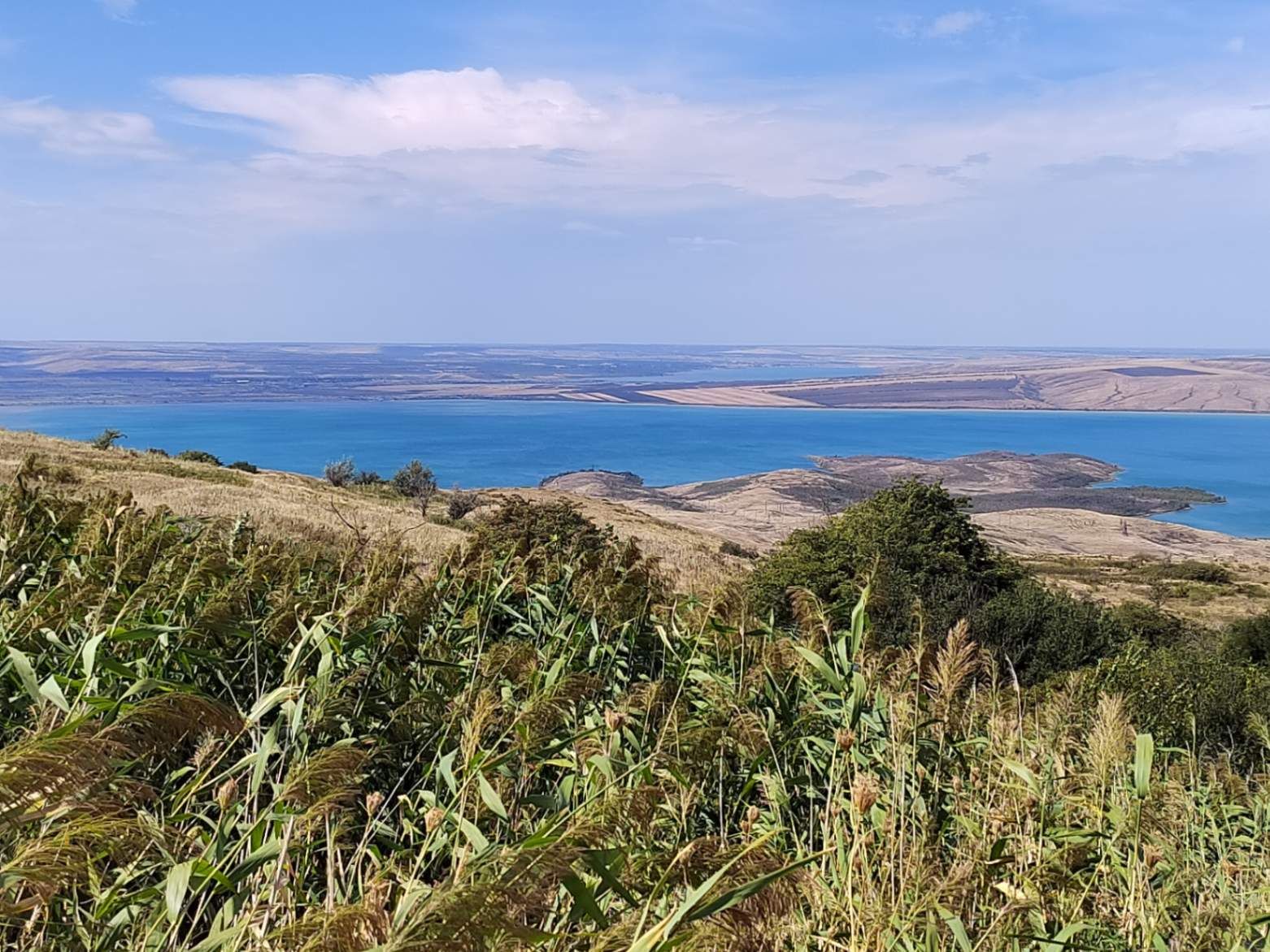 Степь да степь кругом. Фото Дарины Устич