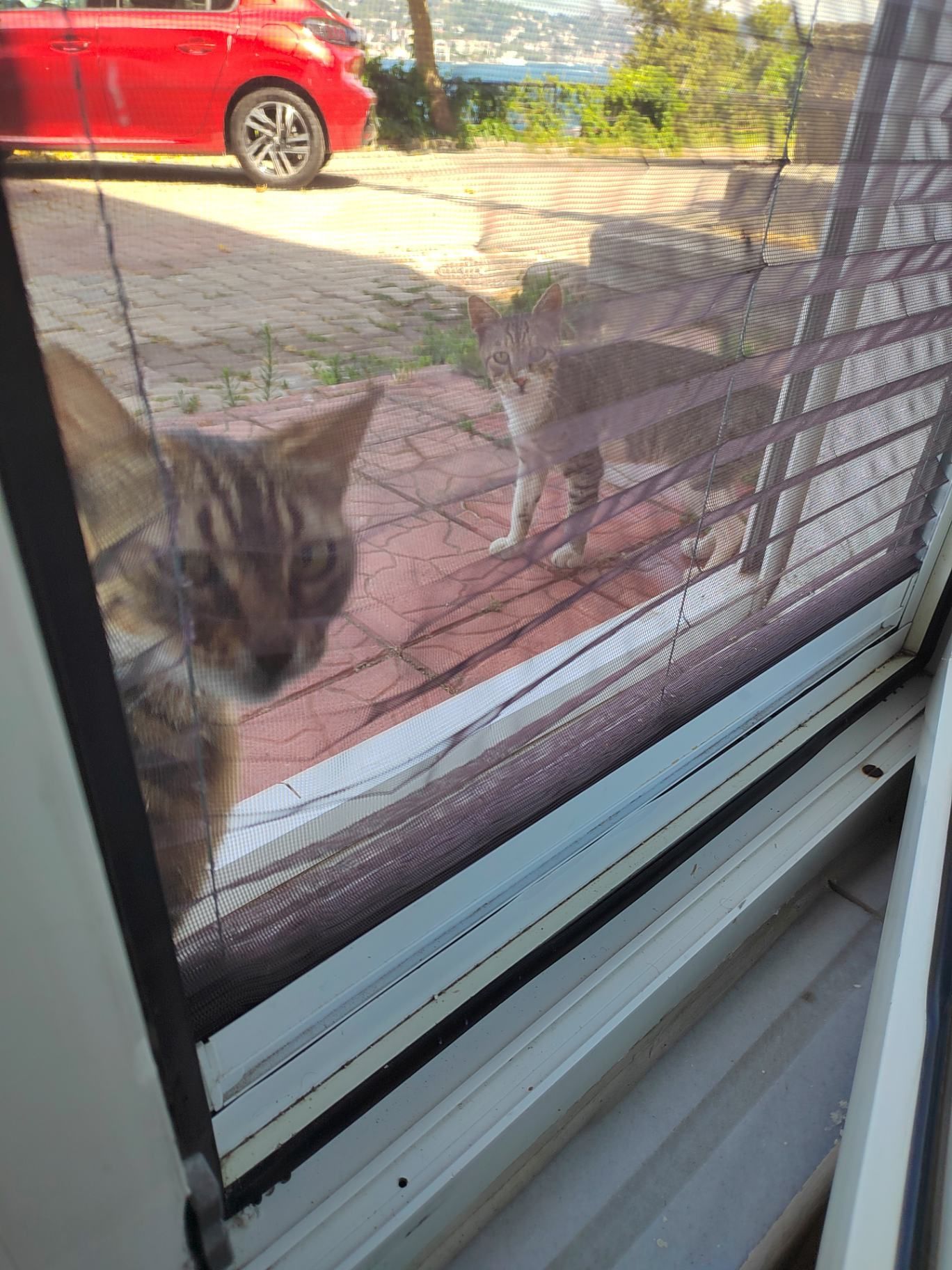 Завтракали мы не одни. Фото Дарины Устич