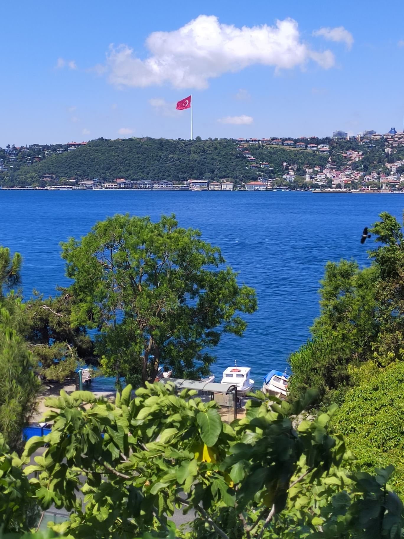 Вид из дома. Фото Дарины Устич