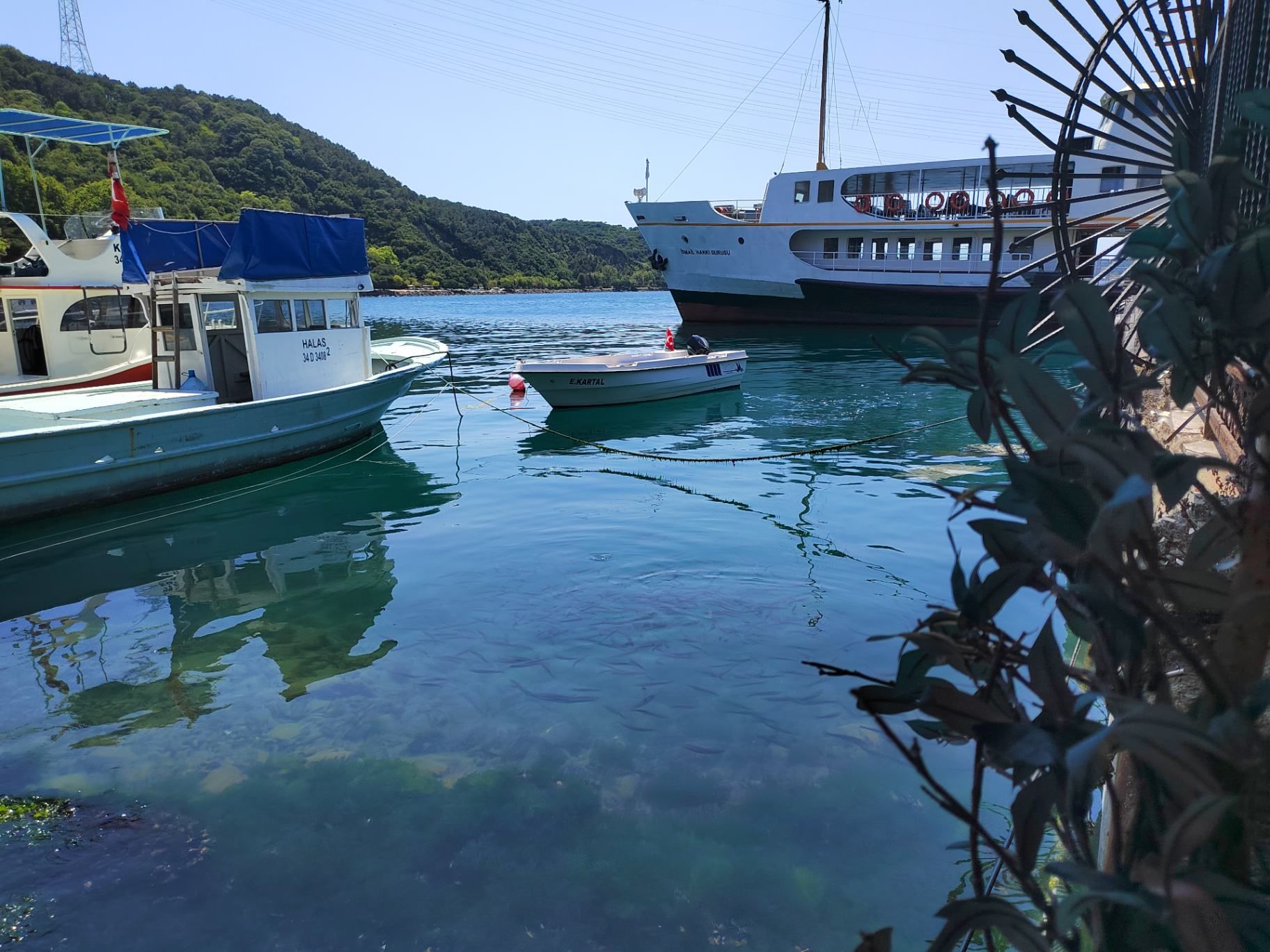 Мы ели с таким видом. Фото Дарины Устич