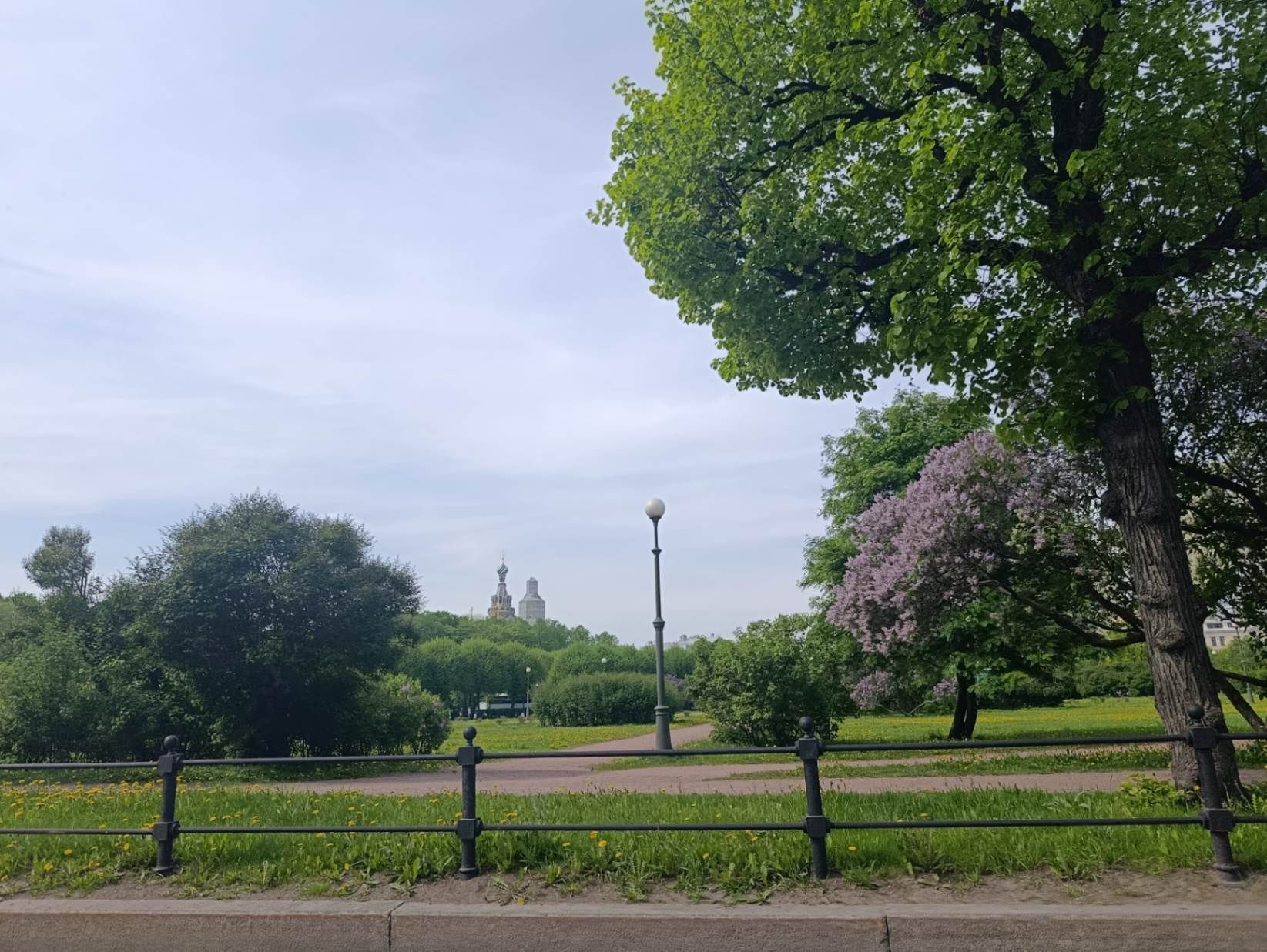 Марсово поле / Фото Даши Тереховой