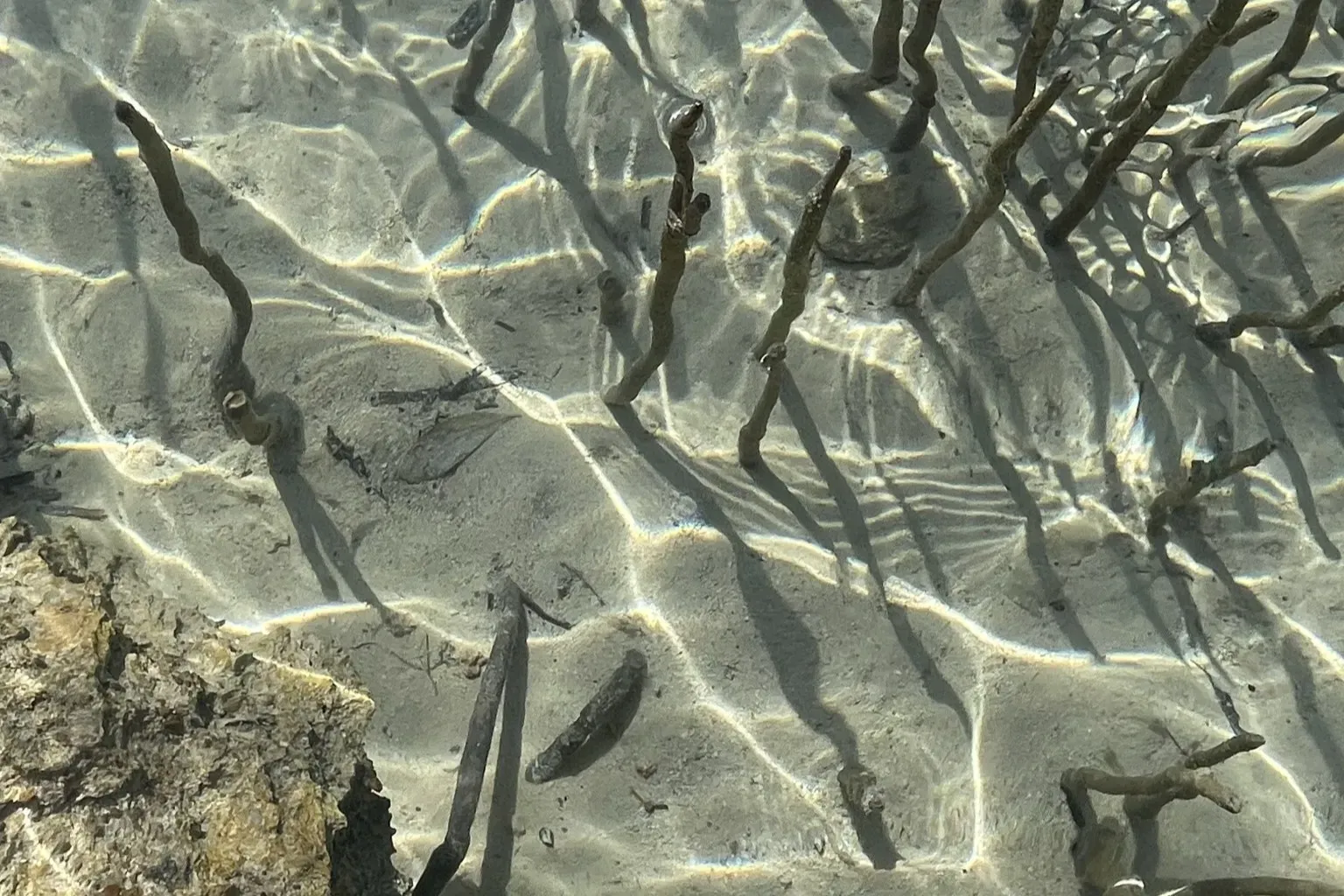 Но я забыла это сфоткать