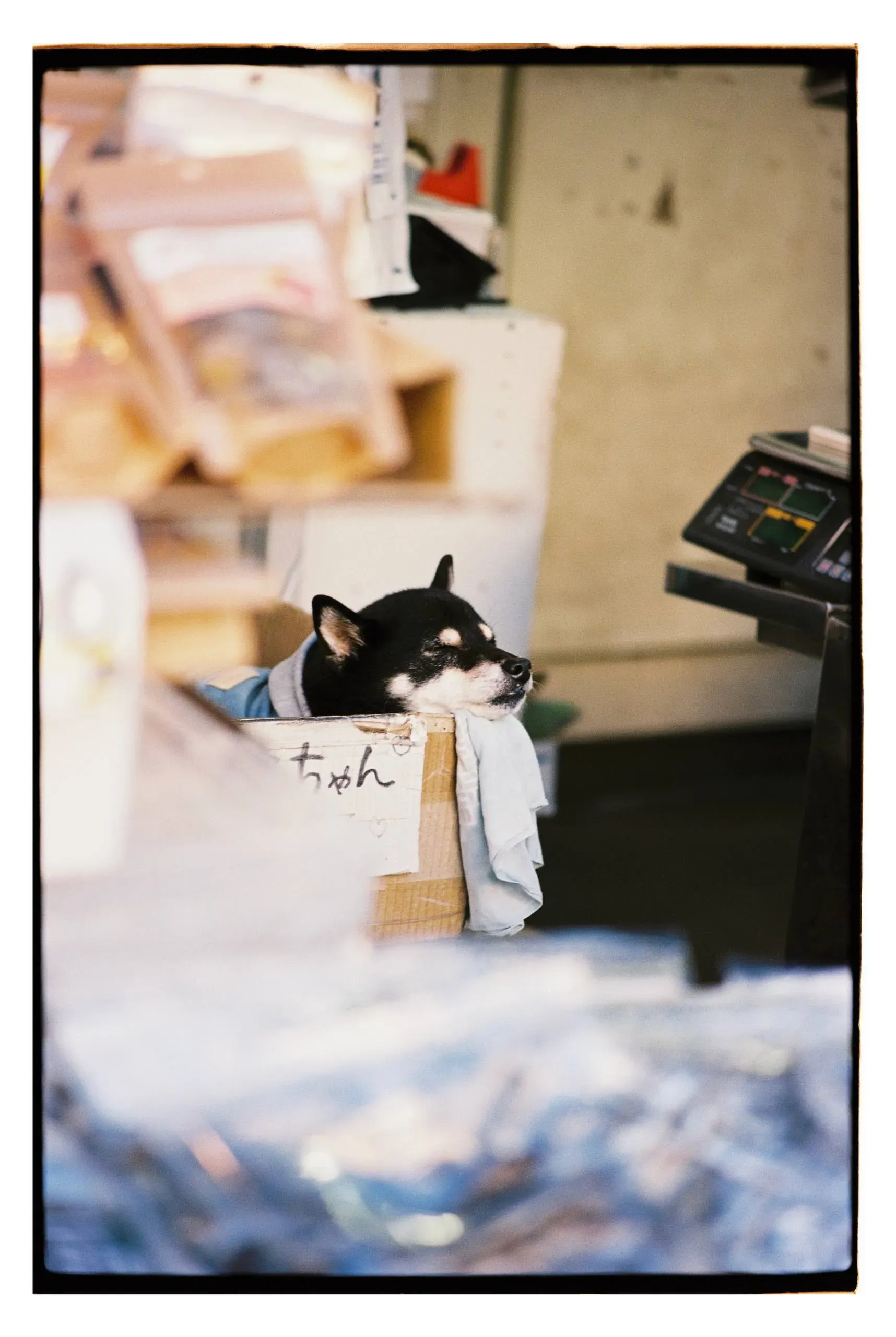 Состояние в Японии :) Фото: Оля Смирнова