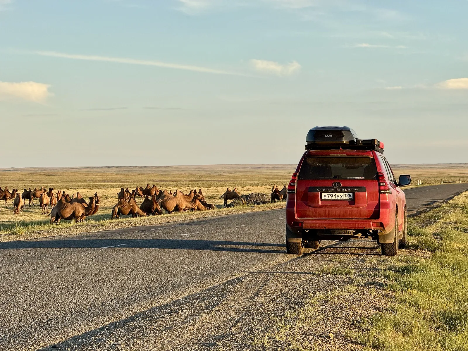 Лежбанят / фото Дмитрий Полудин