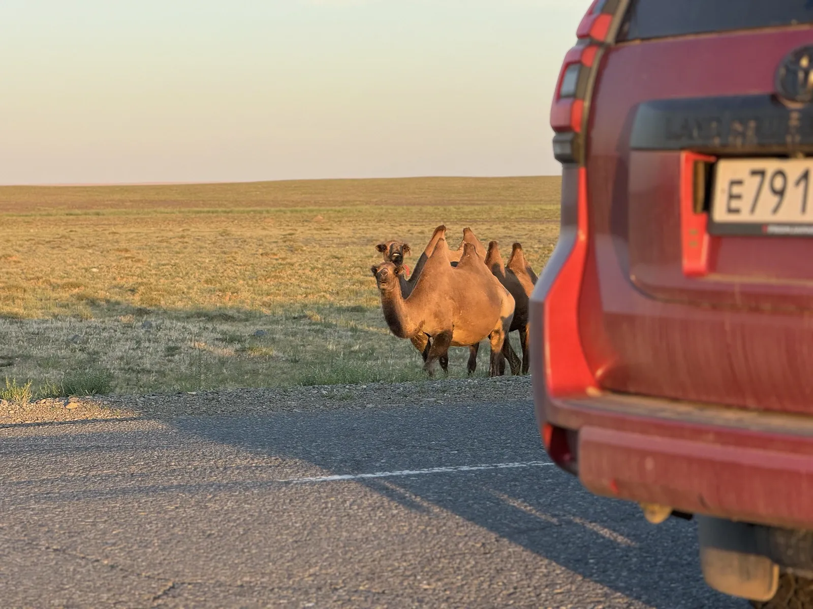 Здравствуйте / фото Дмитрий Полудин