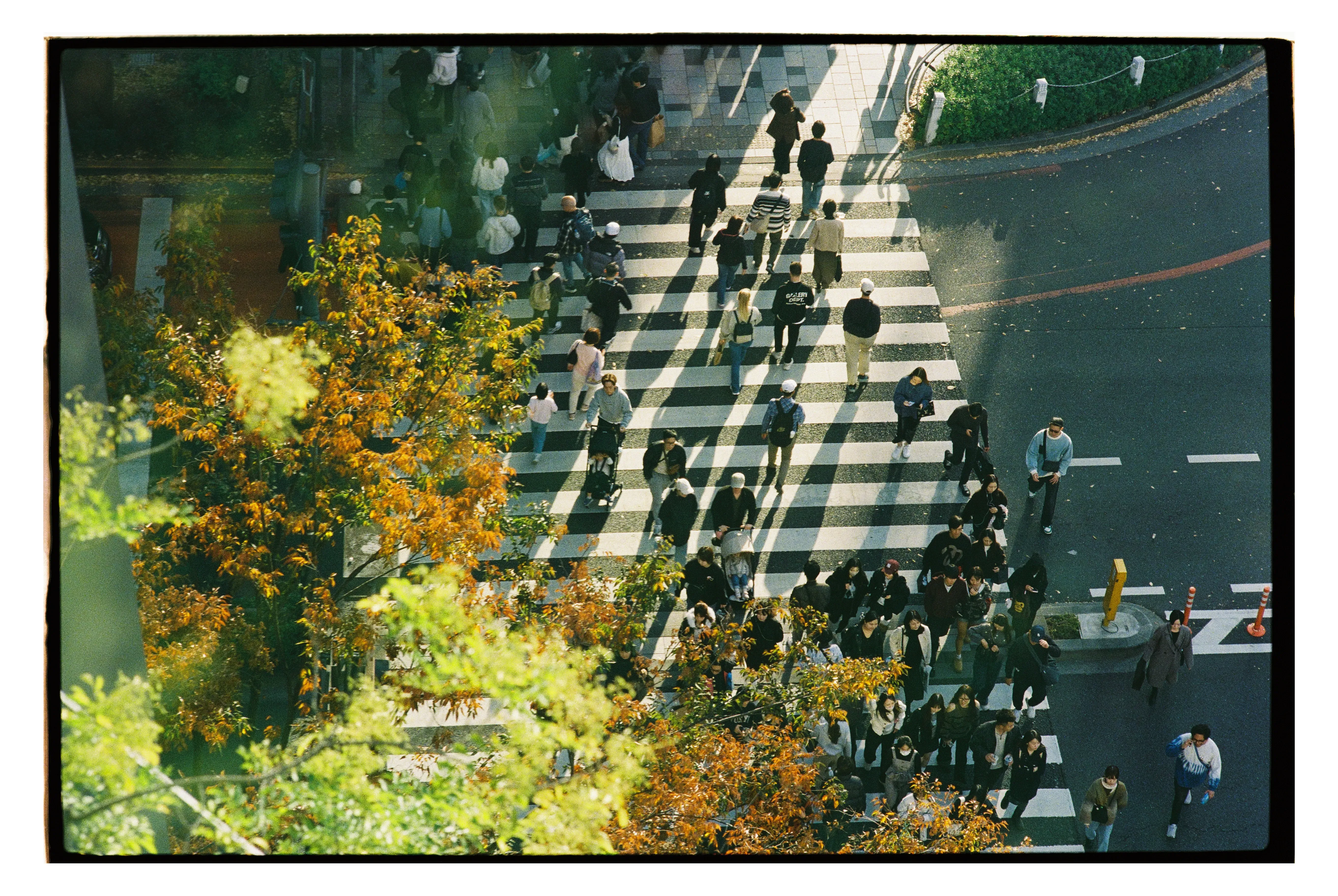 Вид с зелёной террасы Omohara, Tokyo Plaza Omotesando. Фото: Оля Смирнова
