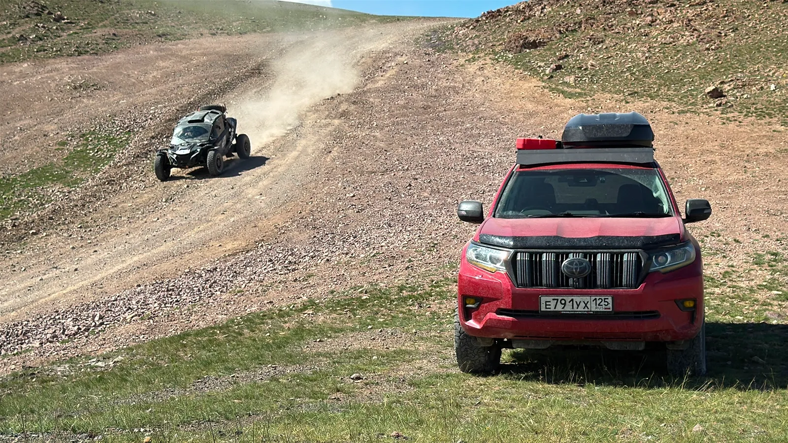 Некоторые сигналили / фото Дмитрий Полудин