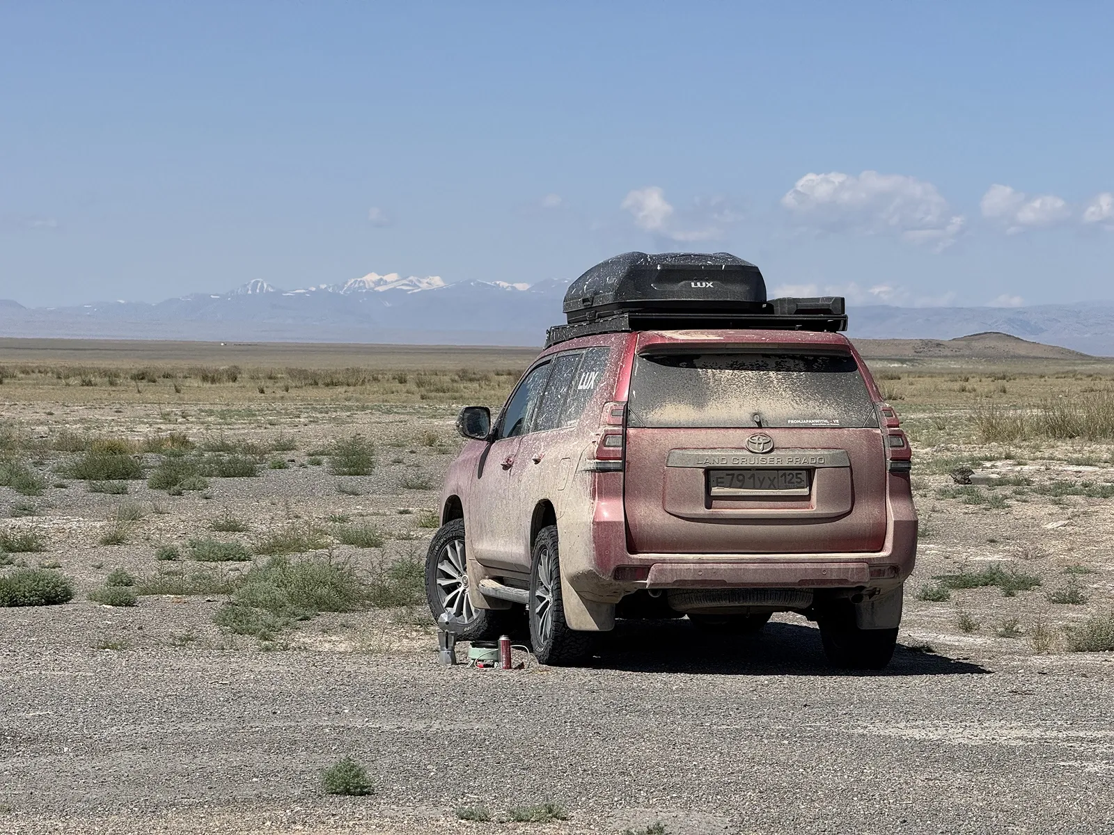 Уставший, пыльный, но не сломленный / фото Дмитрий Полудин