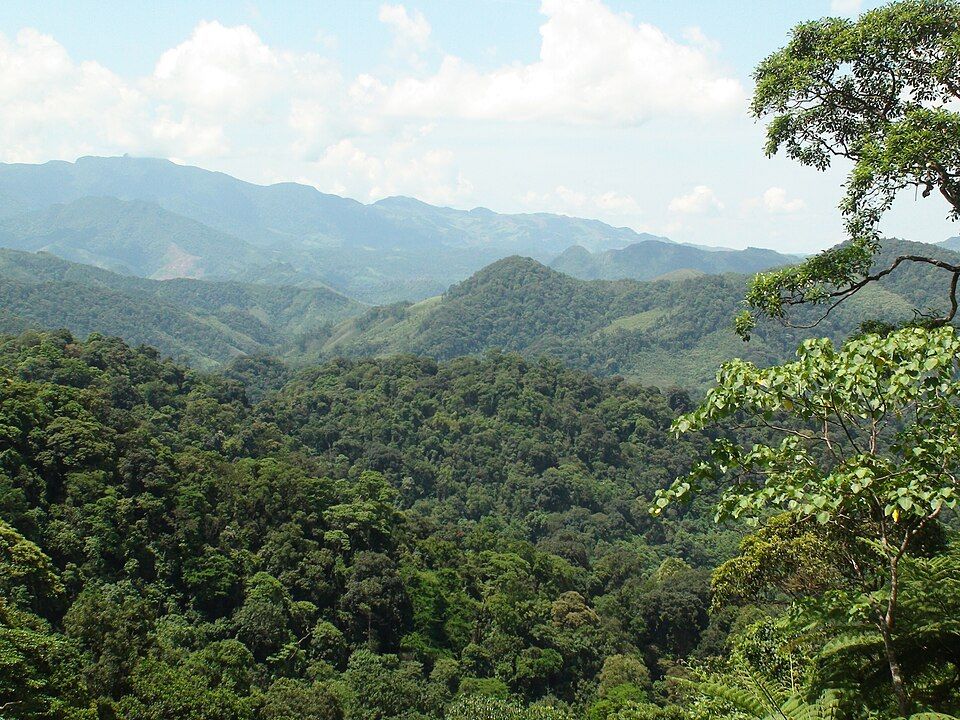 Вьетнамские возвышенности, покрытые лесом / Hà Nghĩa VN / wikimedia