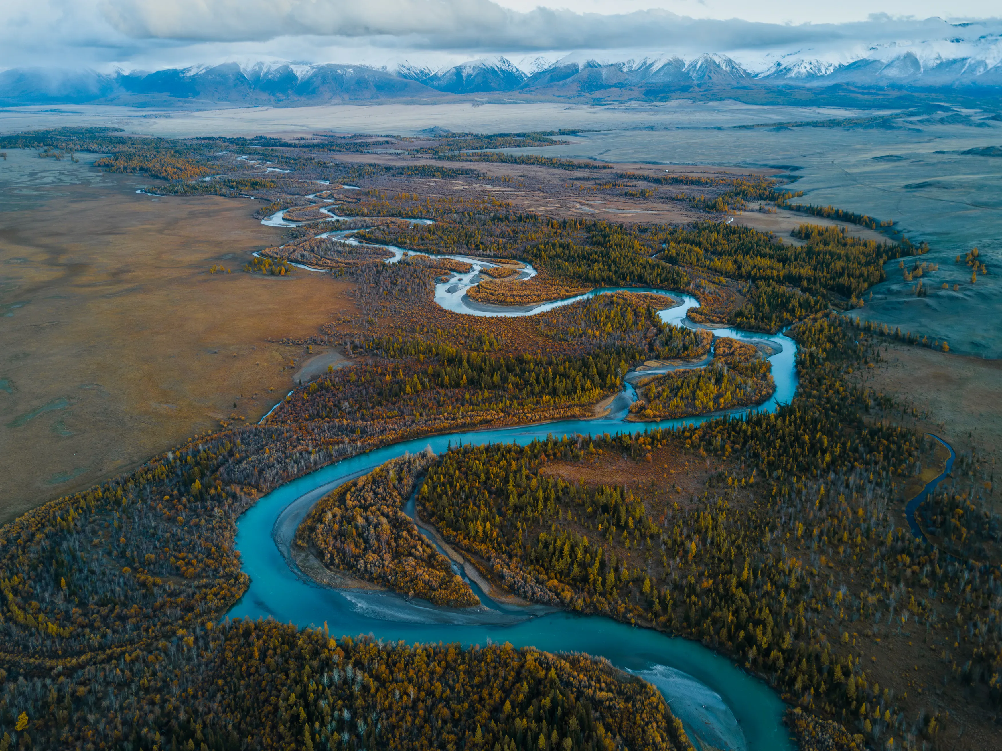 Курайская степь / фото Александра Мазурова