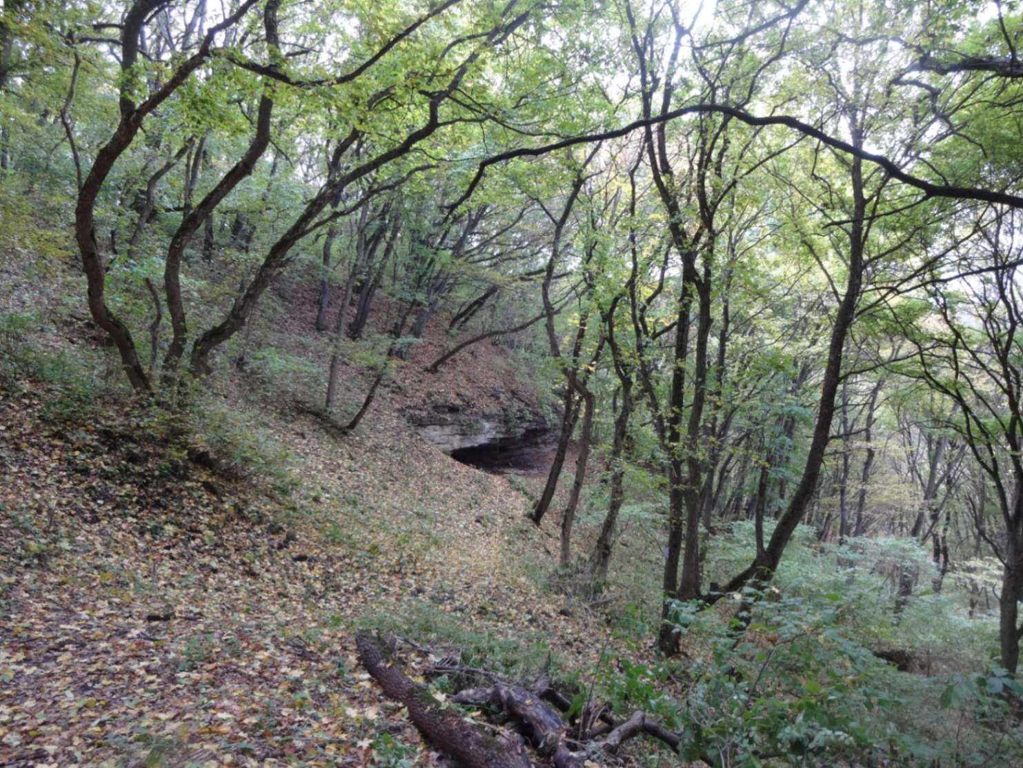 Следы татарского городища.&nbsp;Фото:&nbsp;Elena Pereverzeva / Wikimedia